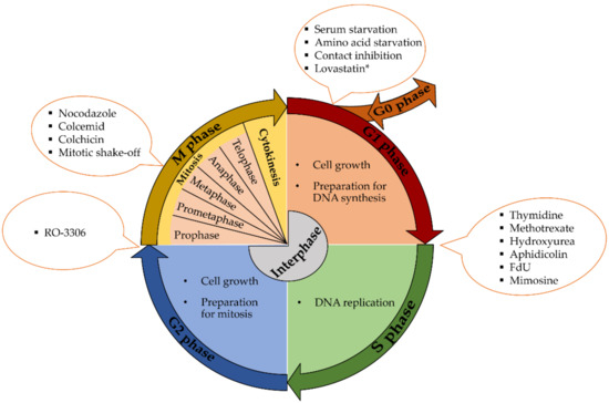 Strengths and Weaknesses of Cell ... Biology Diagrams