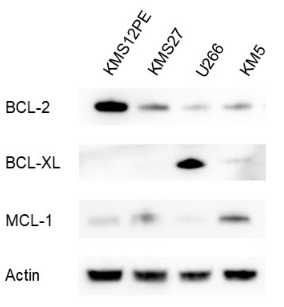 Ijms 22 10761 g002 550