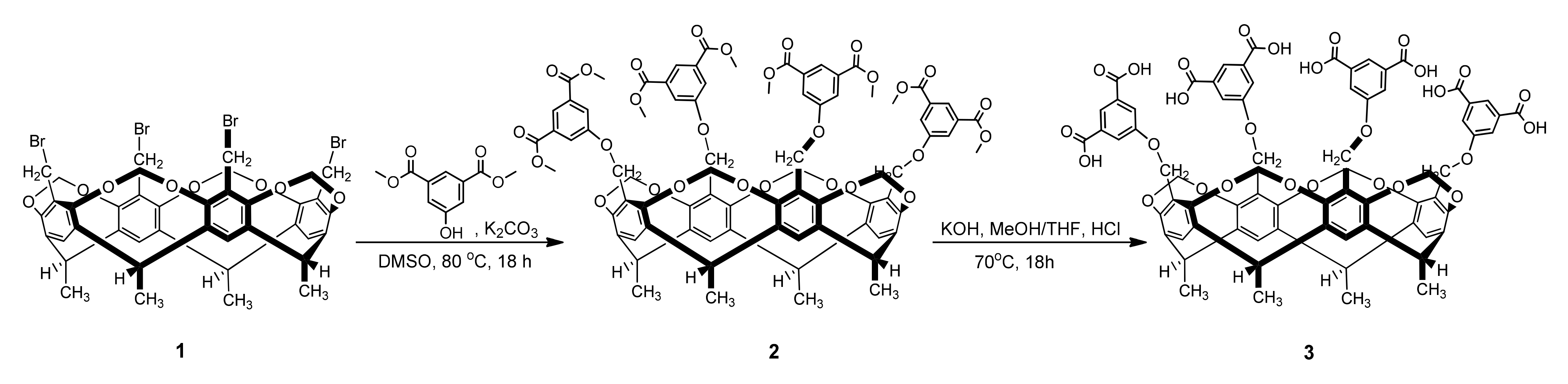 Ijms 22 10764 g007 550