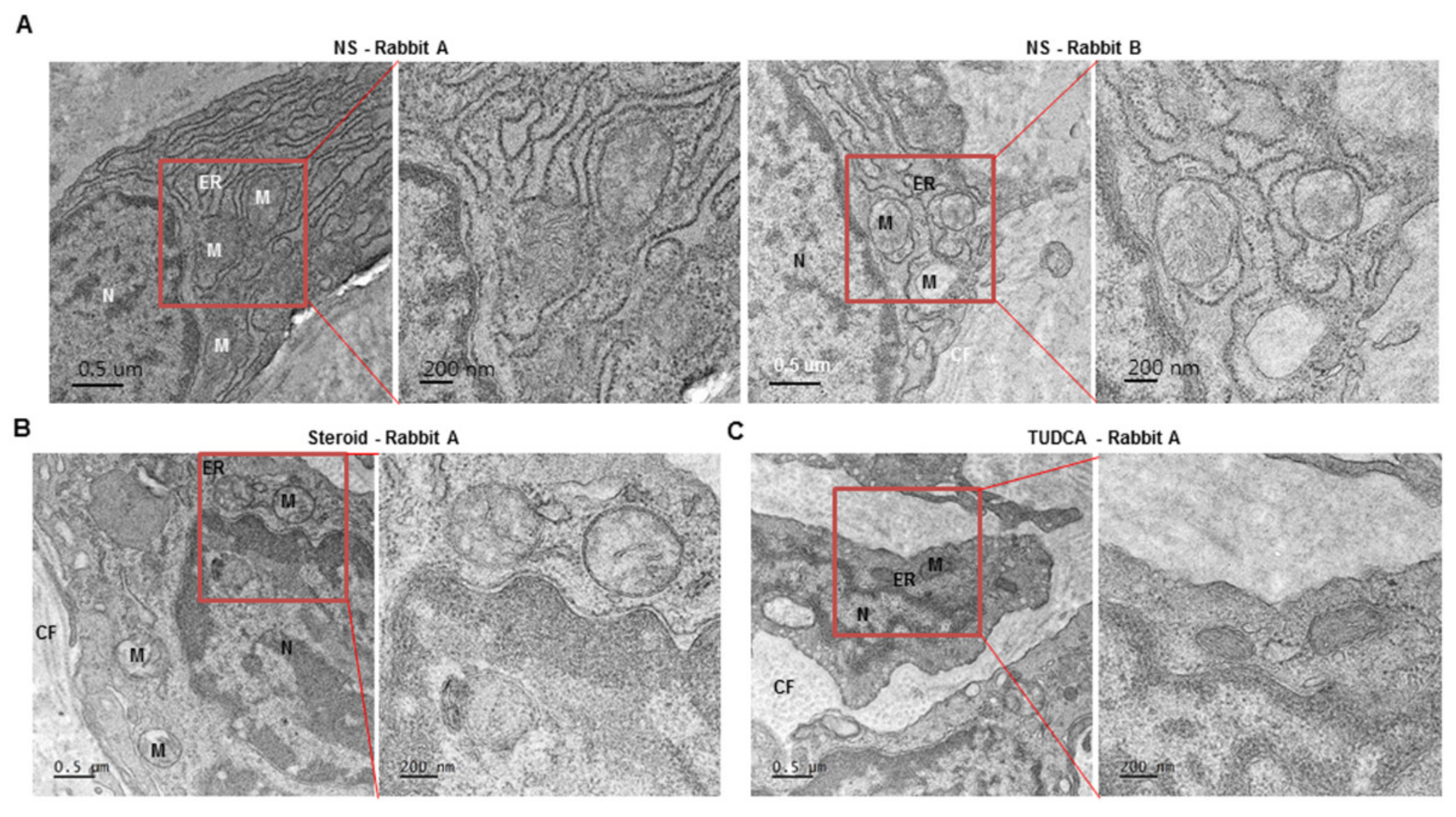 Ijms 22 10765 g005 550