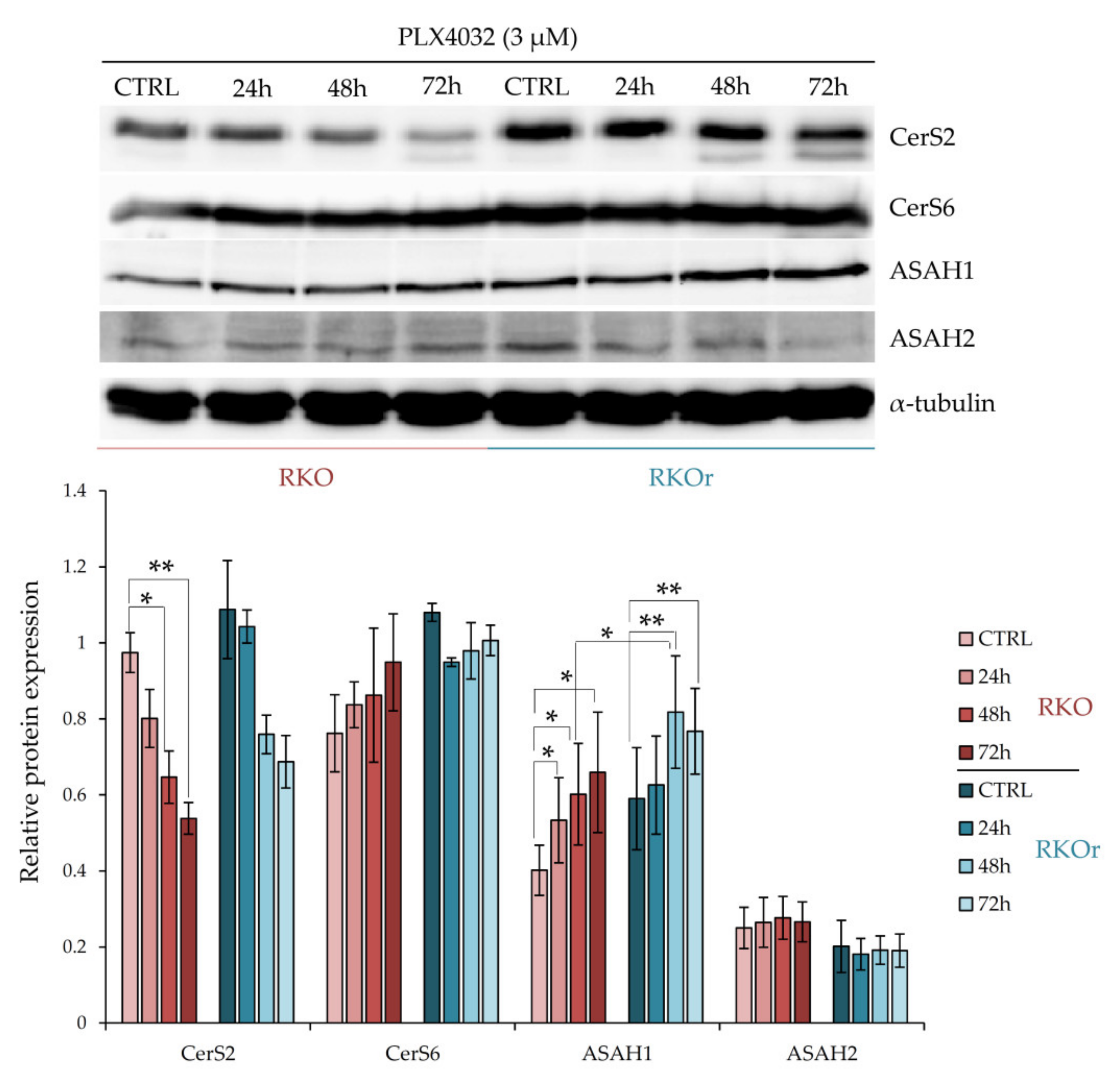 Ijms 22 10767 g002 550