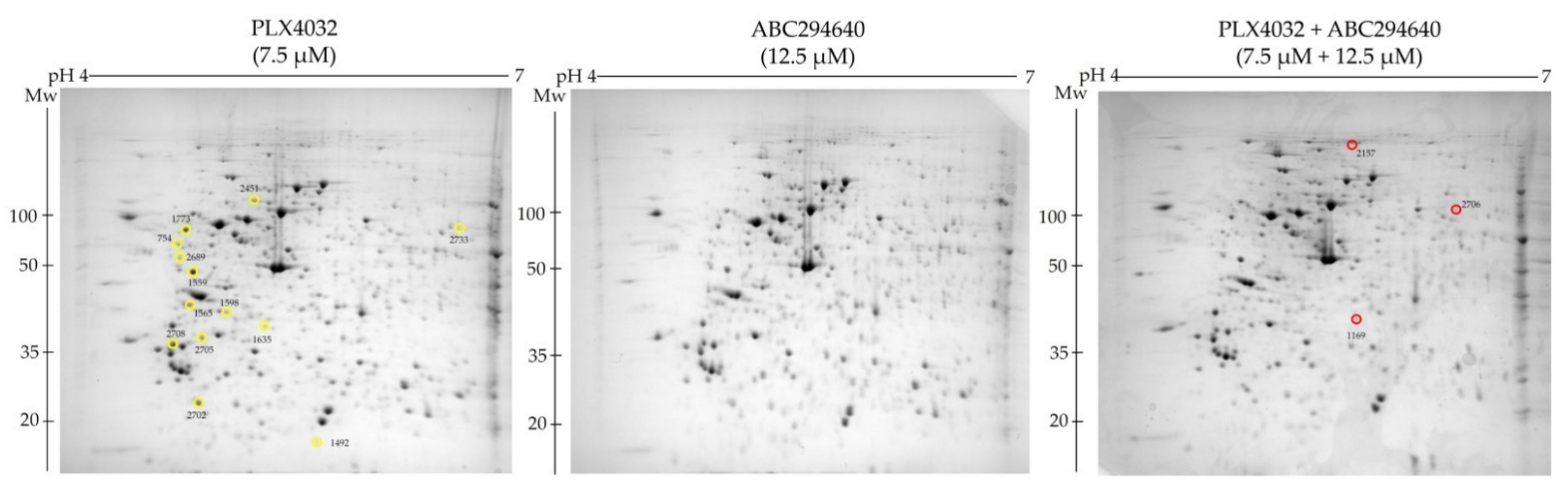 Ijms 22 10767 g006 550