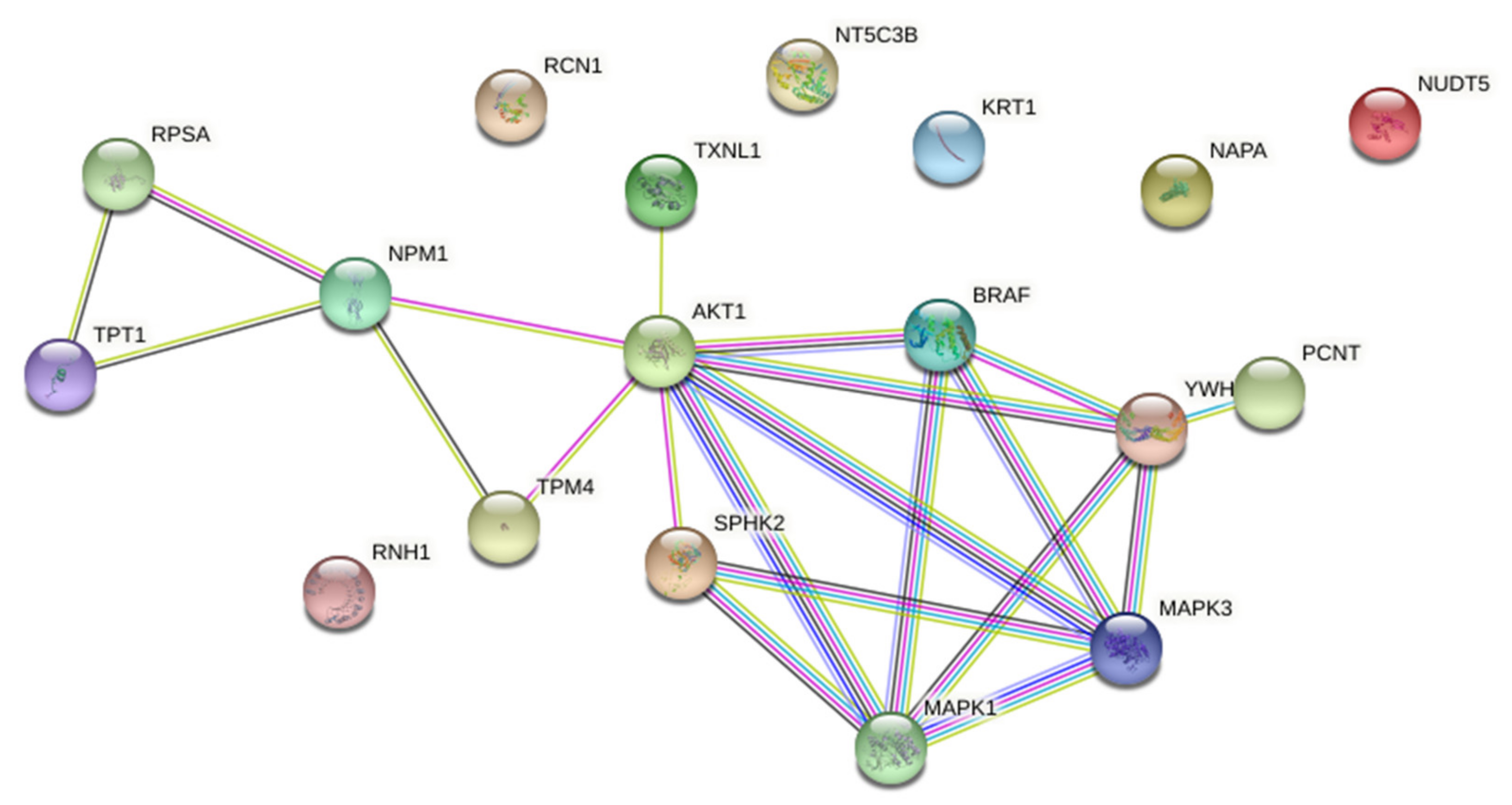 Ijms 22 10767 g007 550