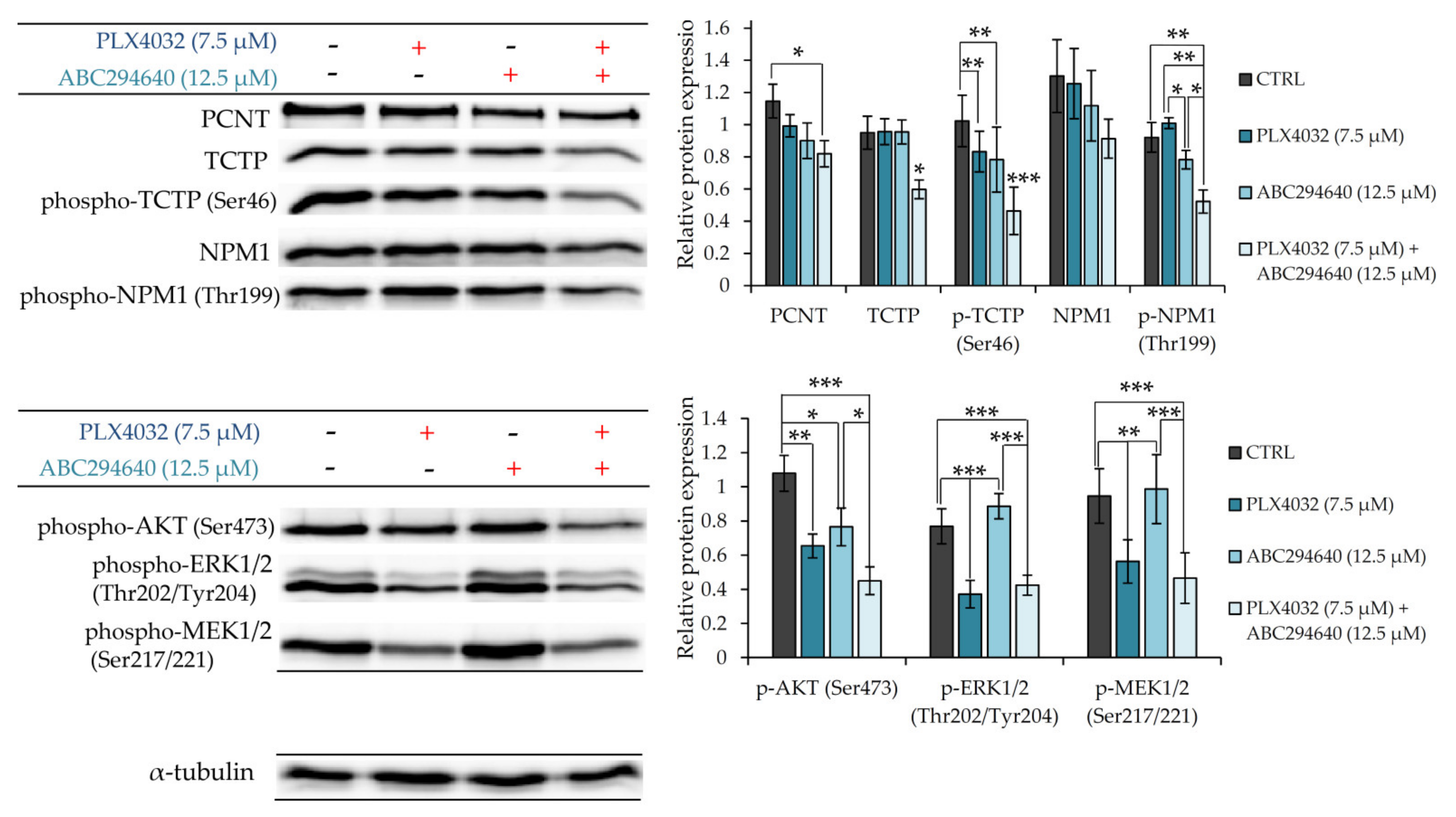 Ijms 22 10767 g008 550