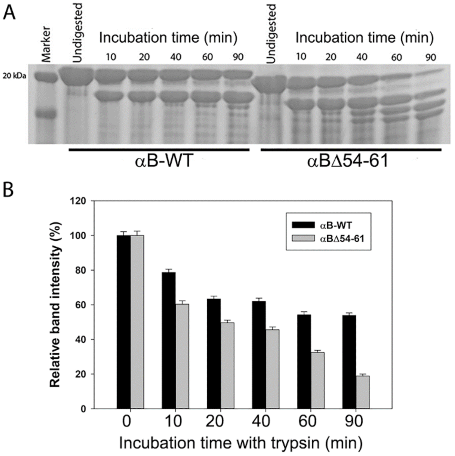 Ijms 22 10771 g003 550