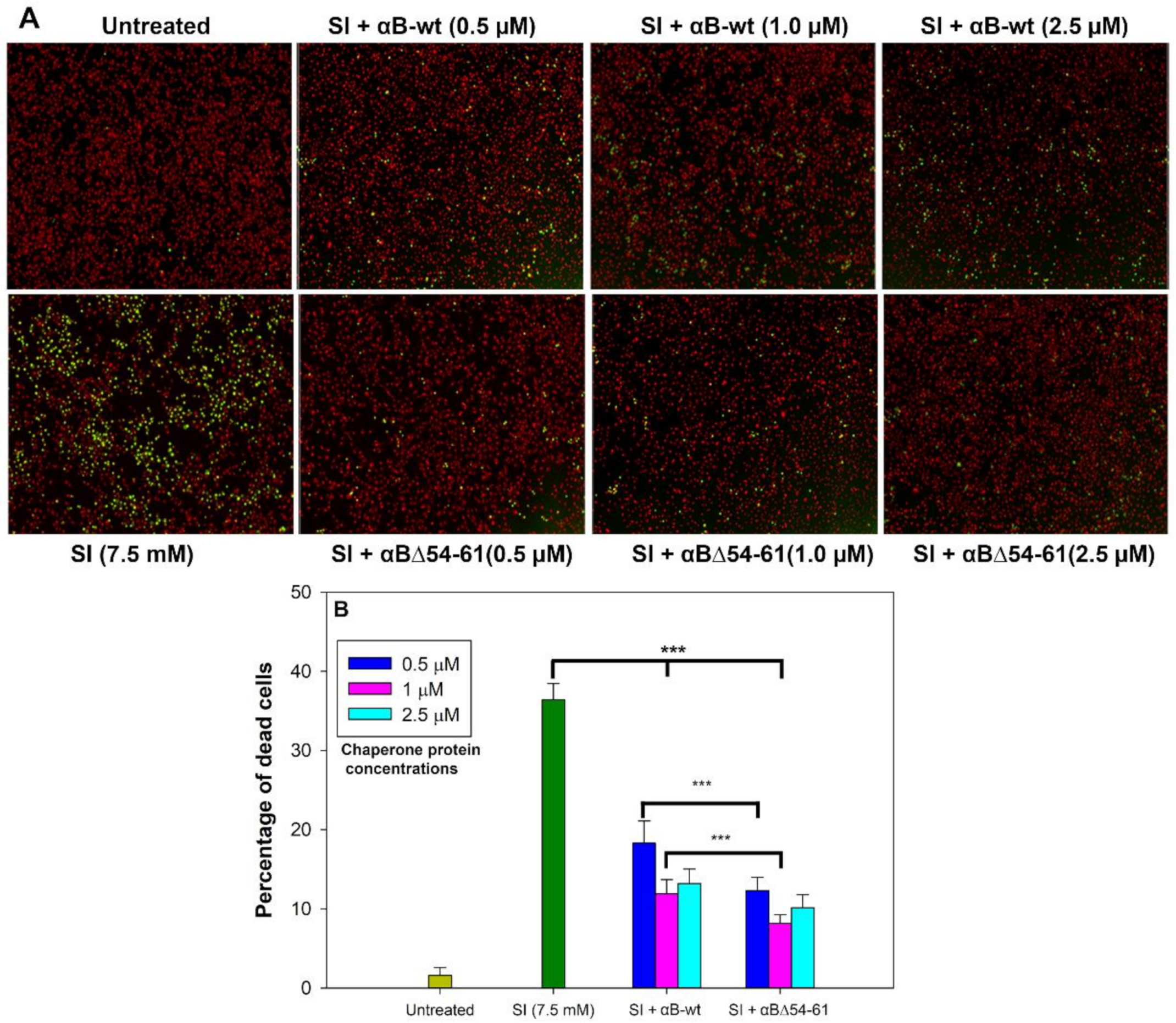 Ijms 22 10771 g006 550