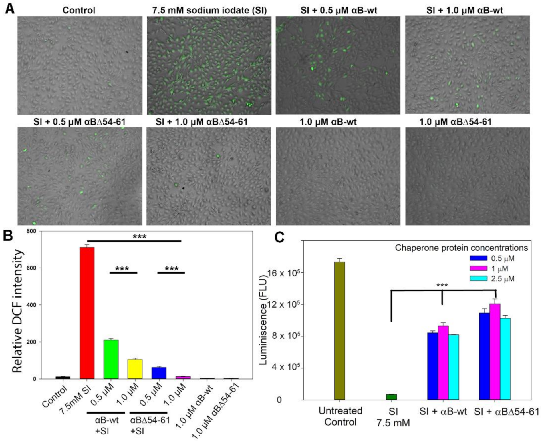 Ijms 22 10771 g007 550