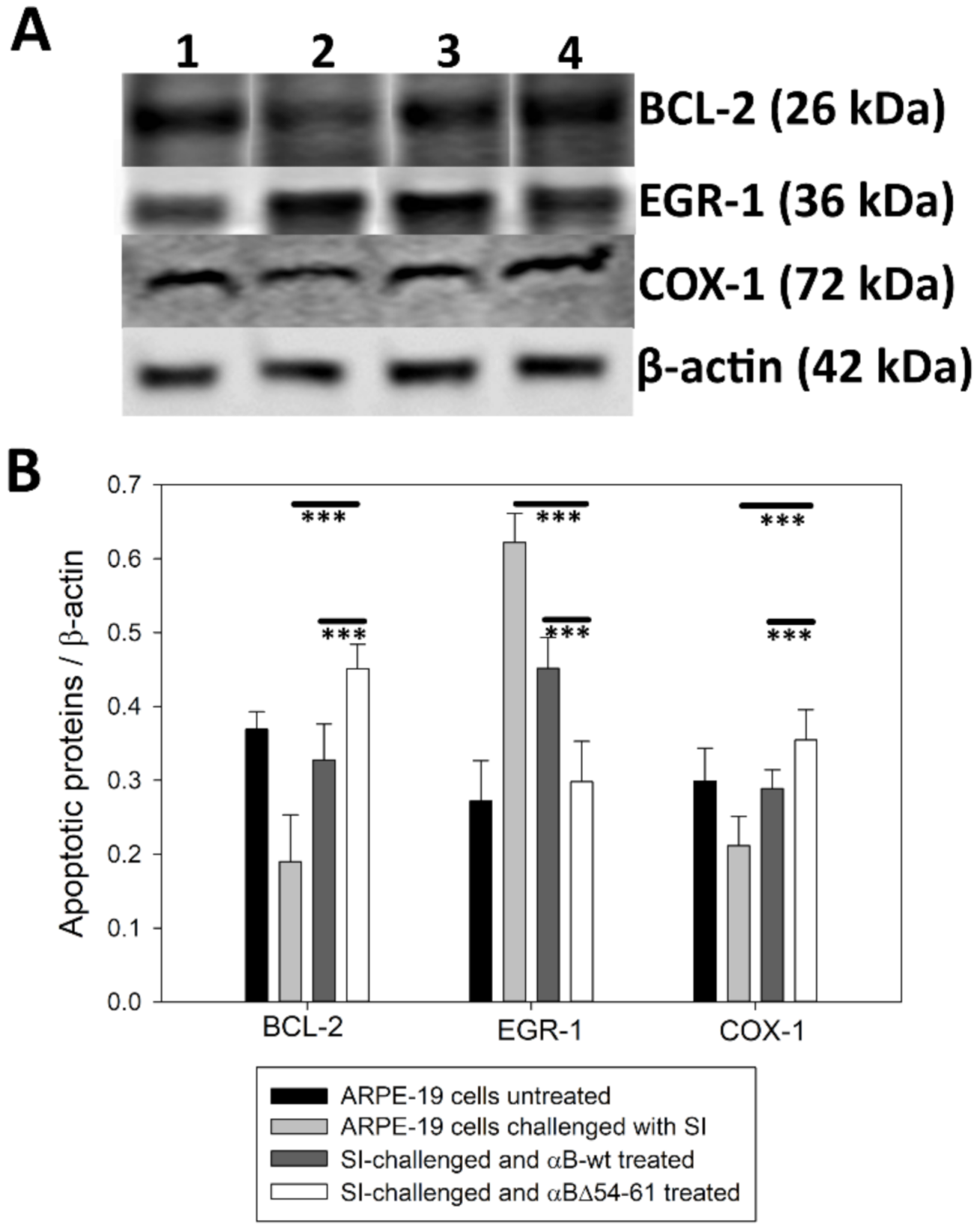 Ijms 22 10771 g009 550