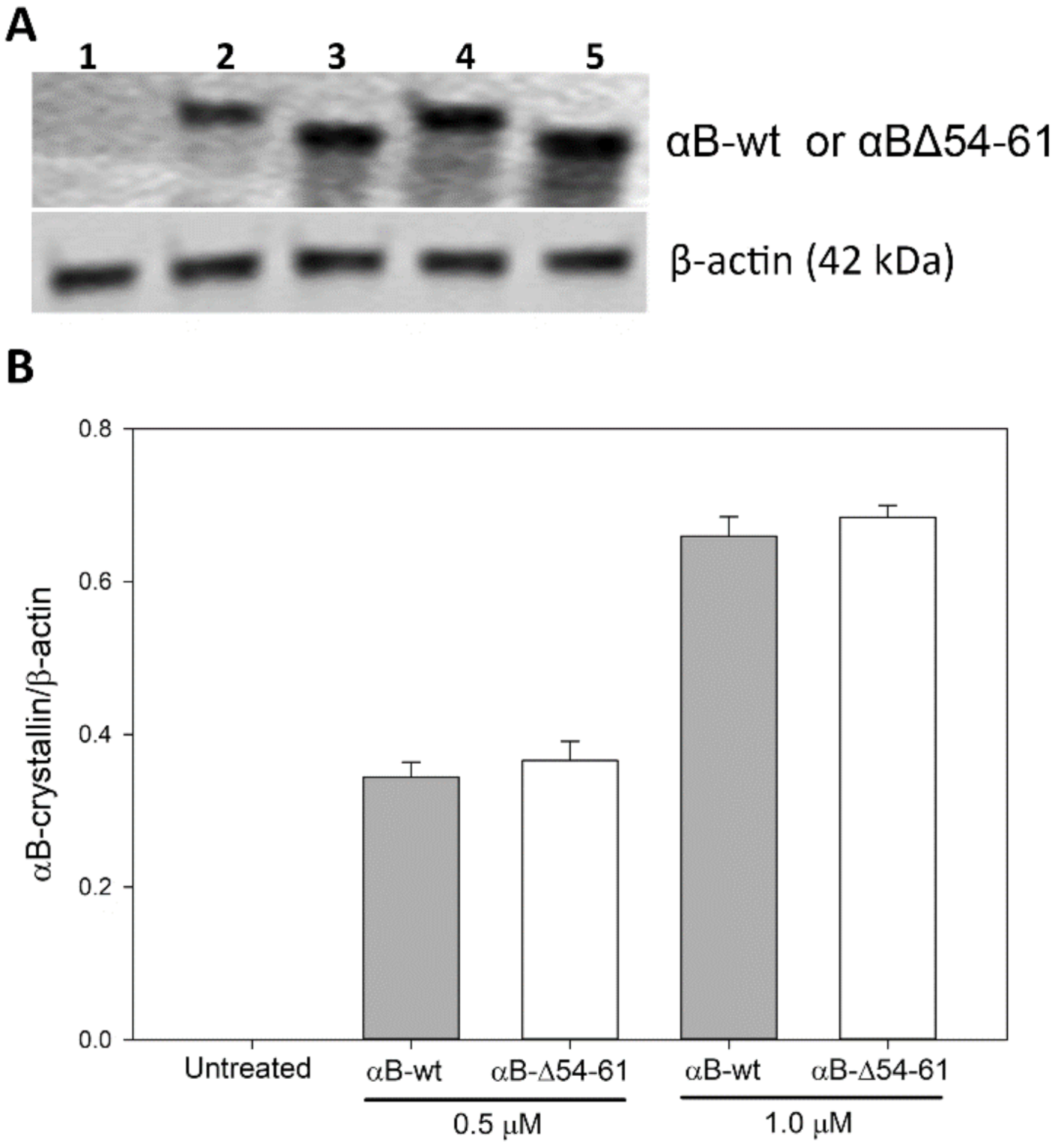 Ijms 22 10771 g010 550