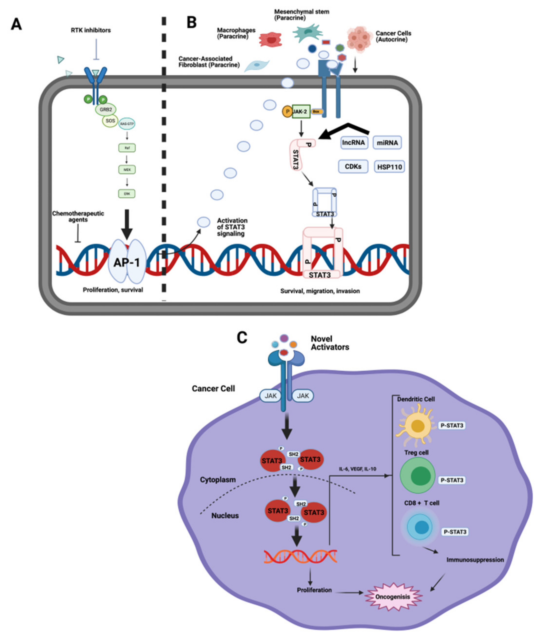 Ijms 22 10774 g007 Ijms 22 10774 g007