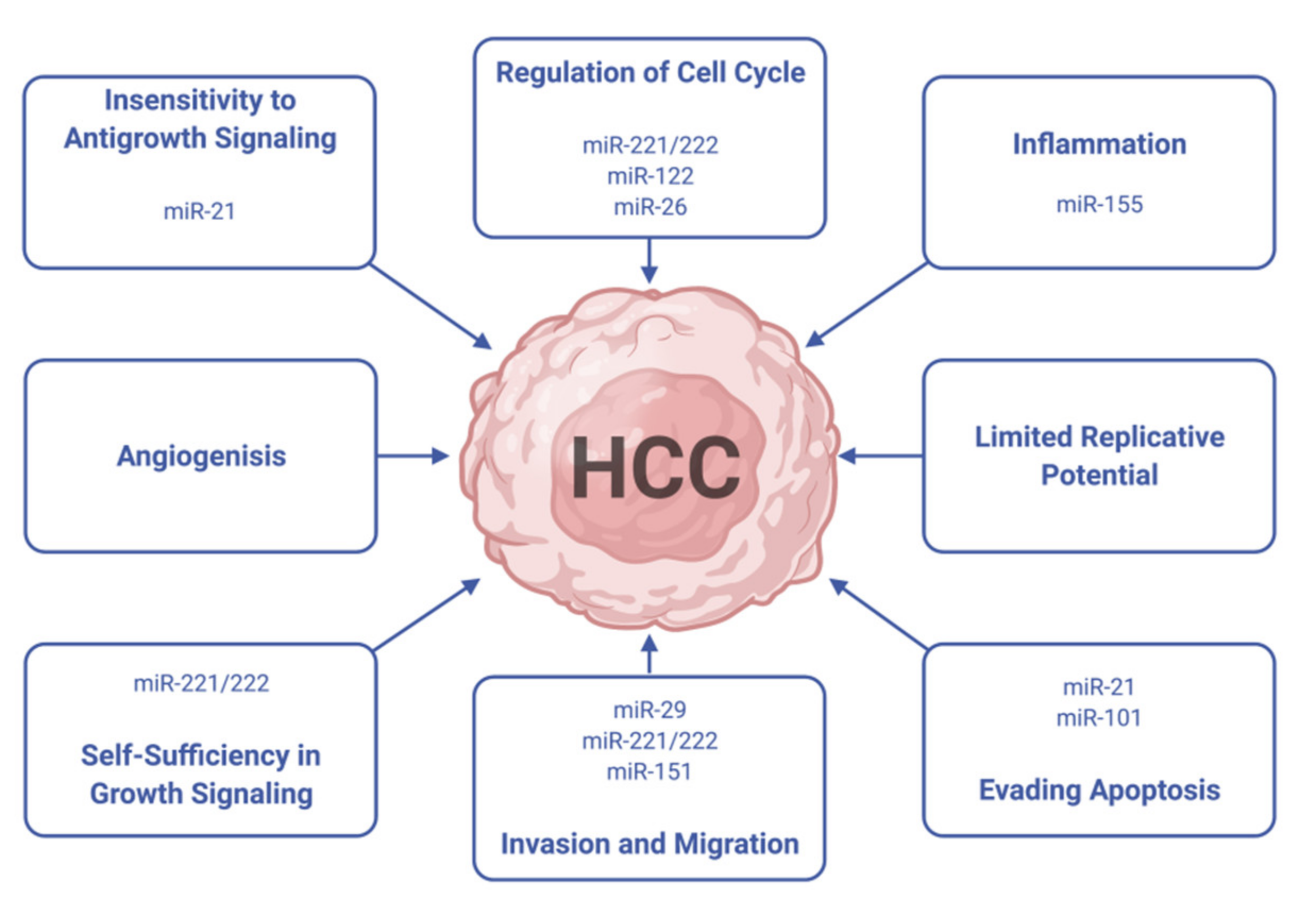 Ijms 22 10774 g008 Ijms 22 10774 g008