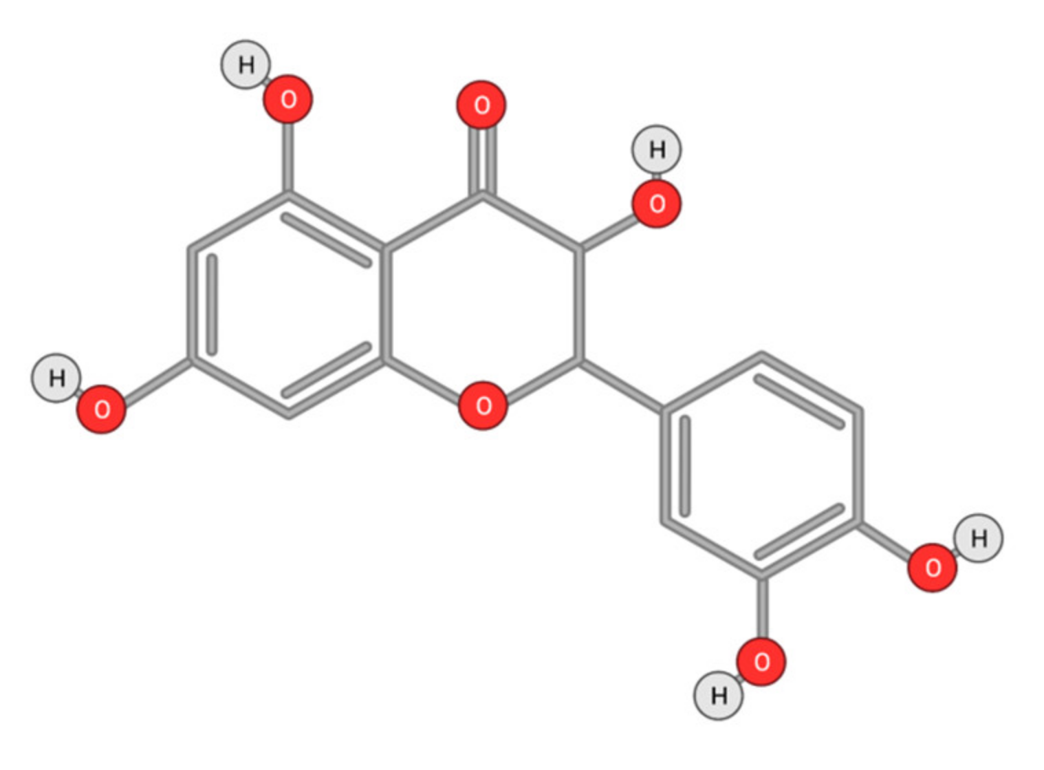 Ijms 22 10774 g010 Ijms 22 10774 g010
