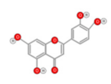 Ijms 22 10774 i010 Ijms 22 10774 i010