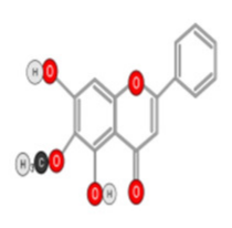 Ijms 22 10774 i014 Ijms 22 10774 i014