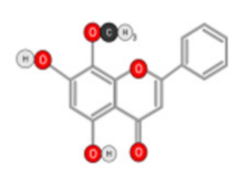 Ijms 22 10774 i015 Ijms 22 10774 i015