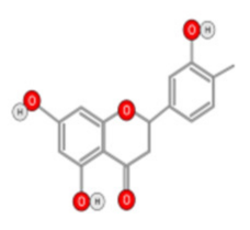 Ijms 22 10774 i017 Ijms 22 10774 i017