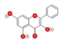 Ijms 22 10774 i020 Ijms 22 10774 i020