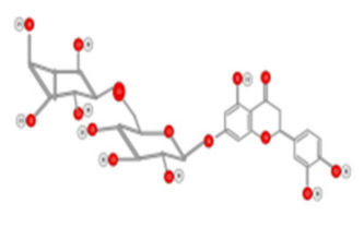 Ijms 22 10774 i024 Ijms 22 10774 i024