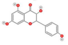 Ijms 22 10774 i026 Ijms 22 10774 i026