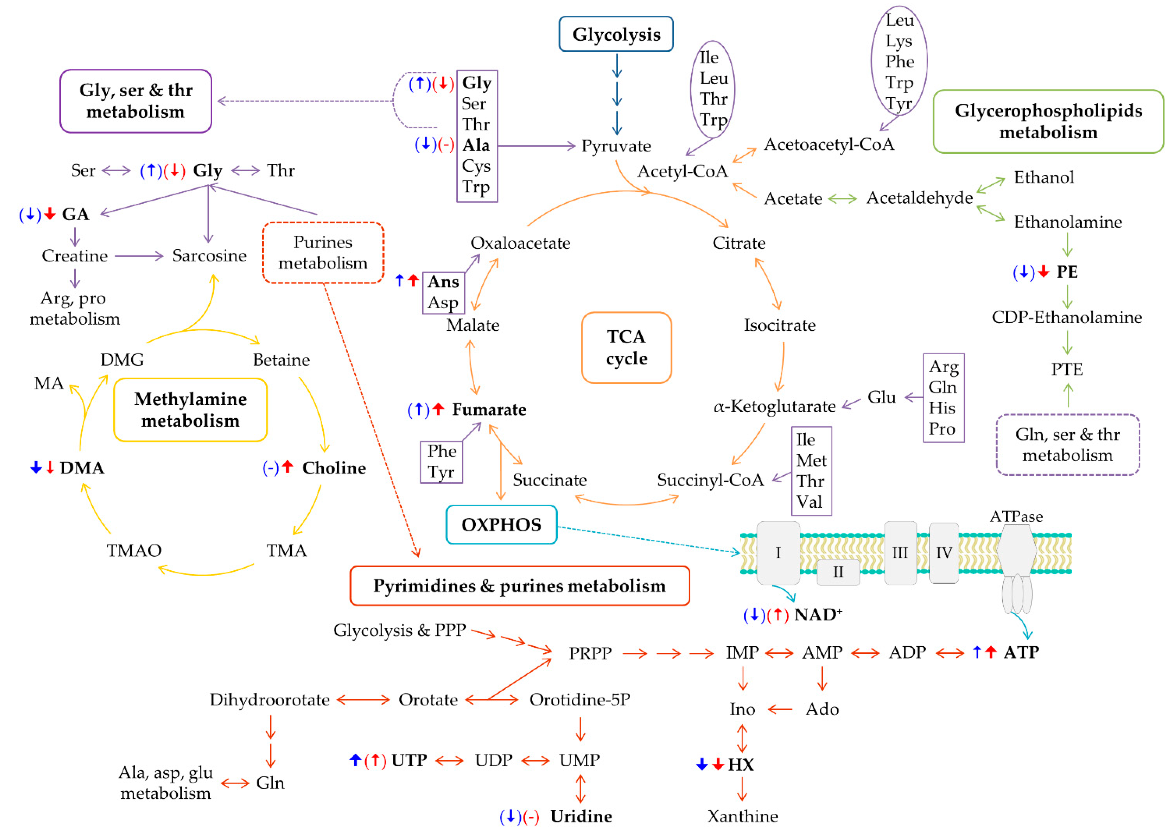 Ijms 22 10775 g006 550