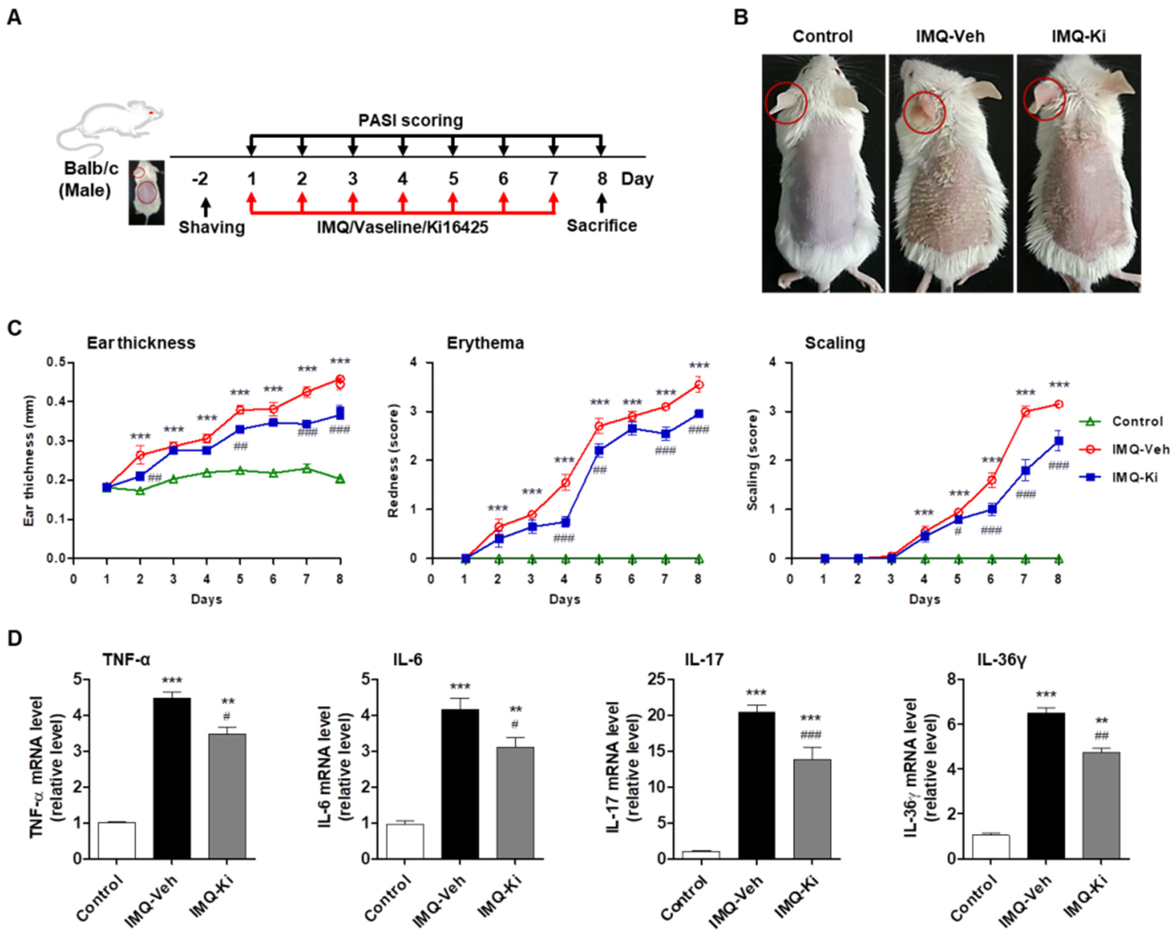 Ijms 22 10777 g001 550