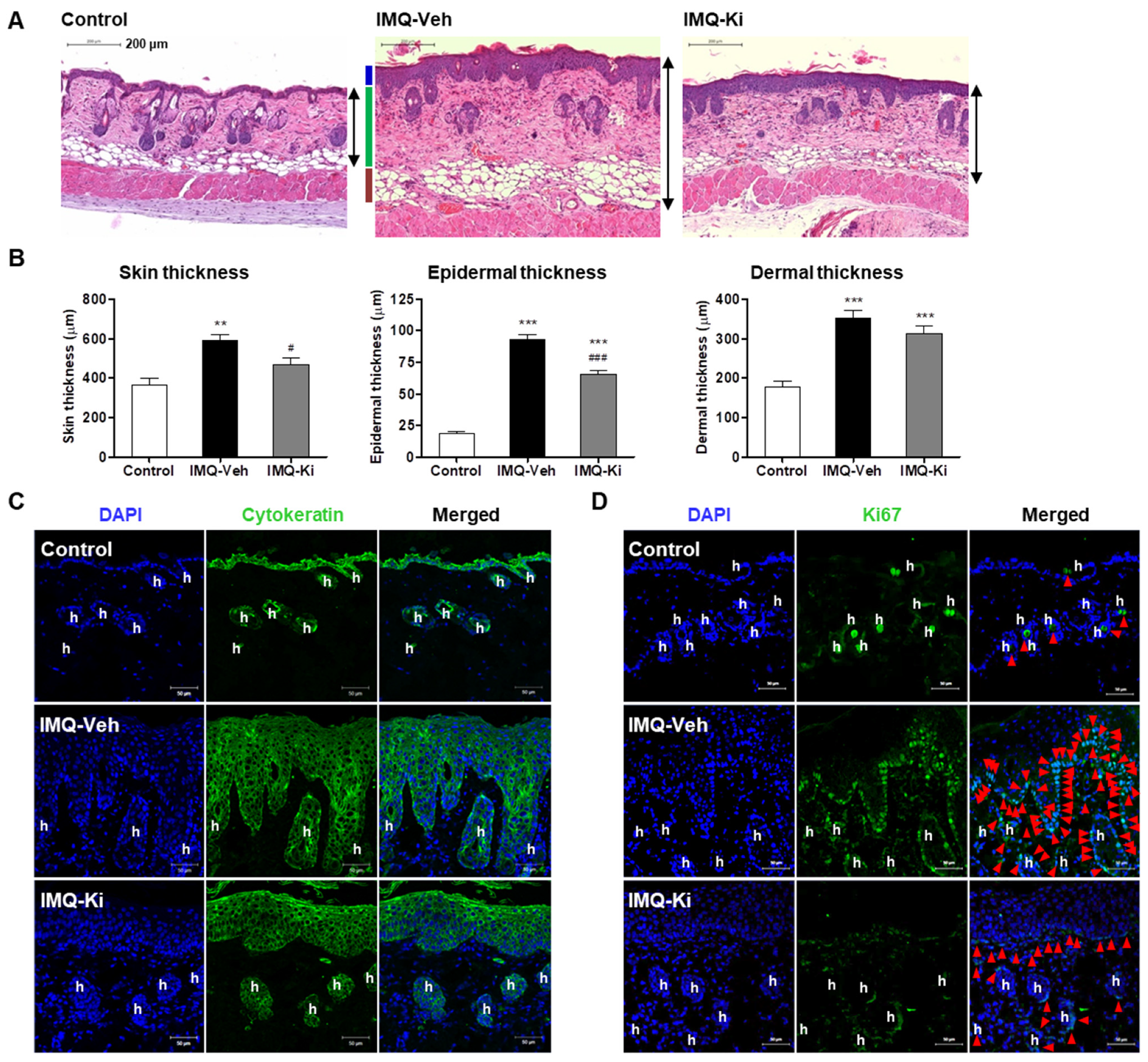 Ijms 22 10777 g002 550