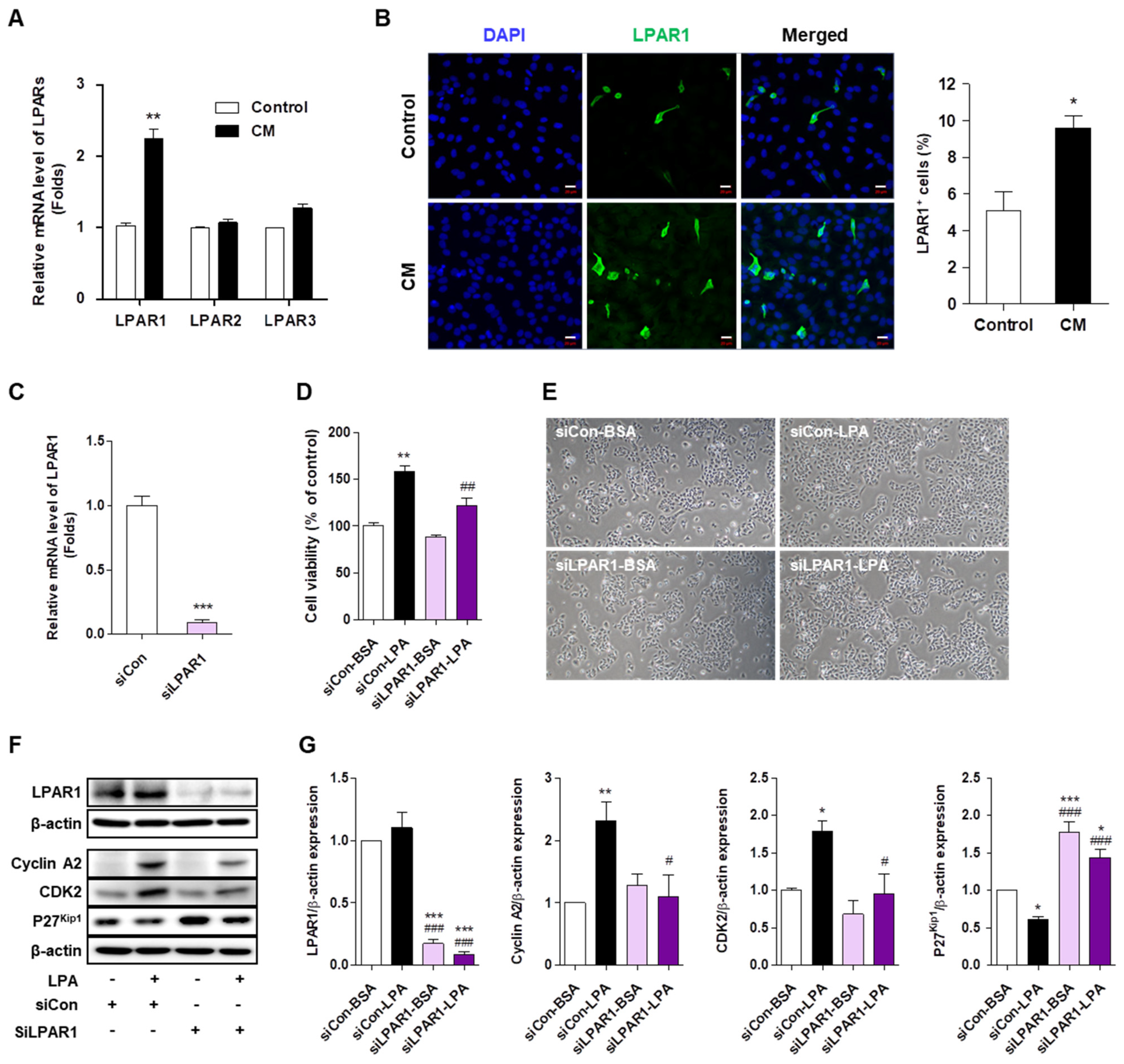 Ijms 22 10777 g005 550