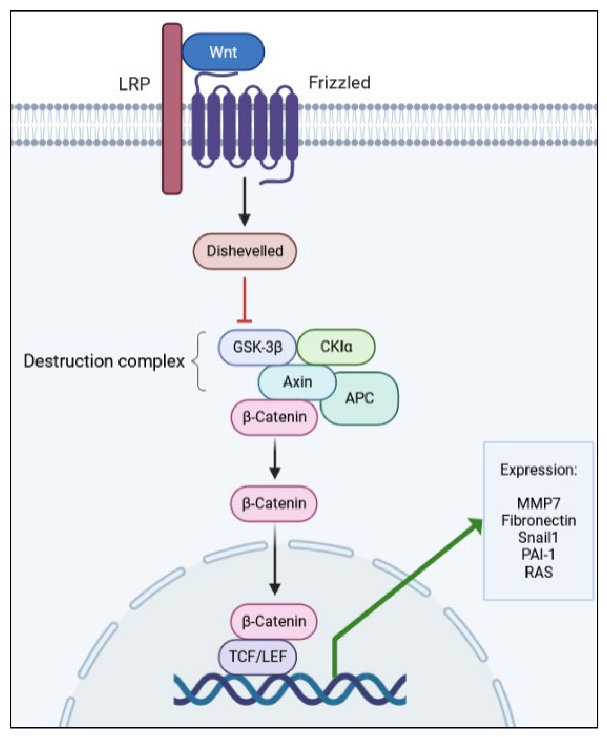 Ijms 22 10779 g002 Ijms 22 10779 g002