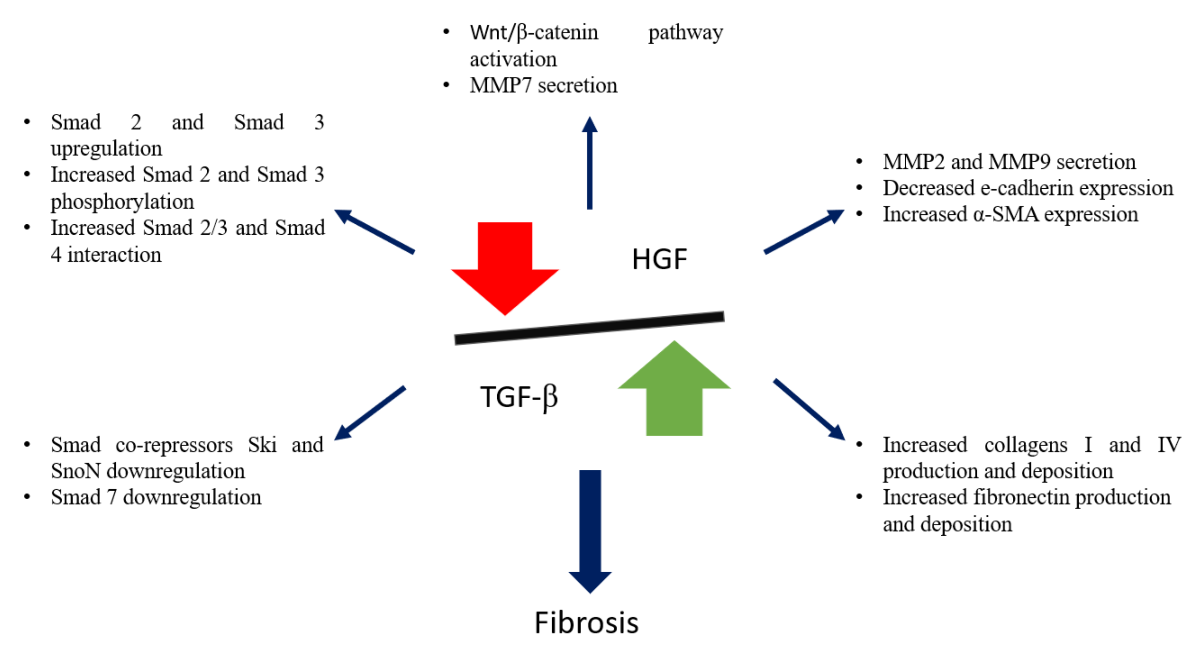 Ijms 22 10779 g003 Ijms 22 10779 g003