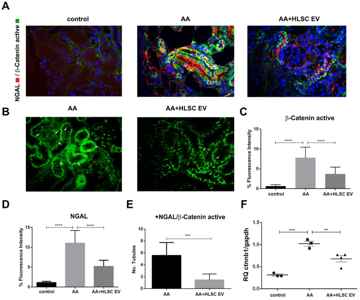 Ijms 22 10780 g003 550