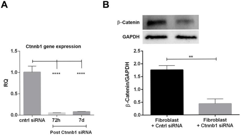Ijms 22 10780 g005 550