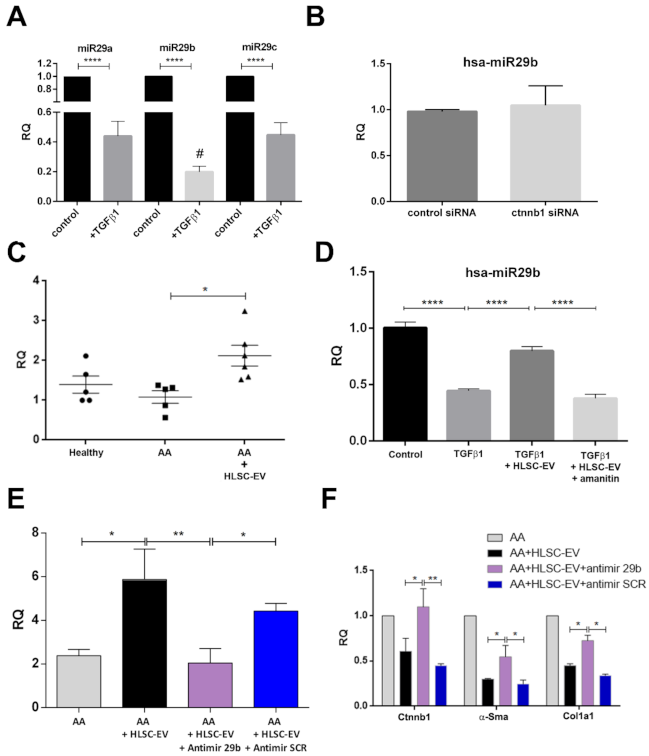 Ijms 22 10780 g007 550