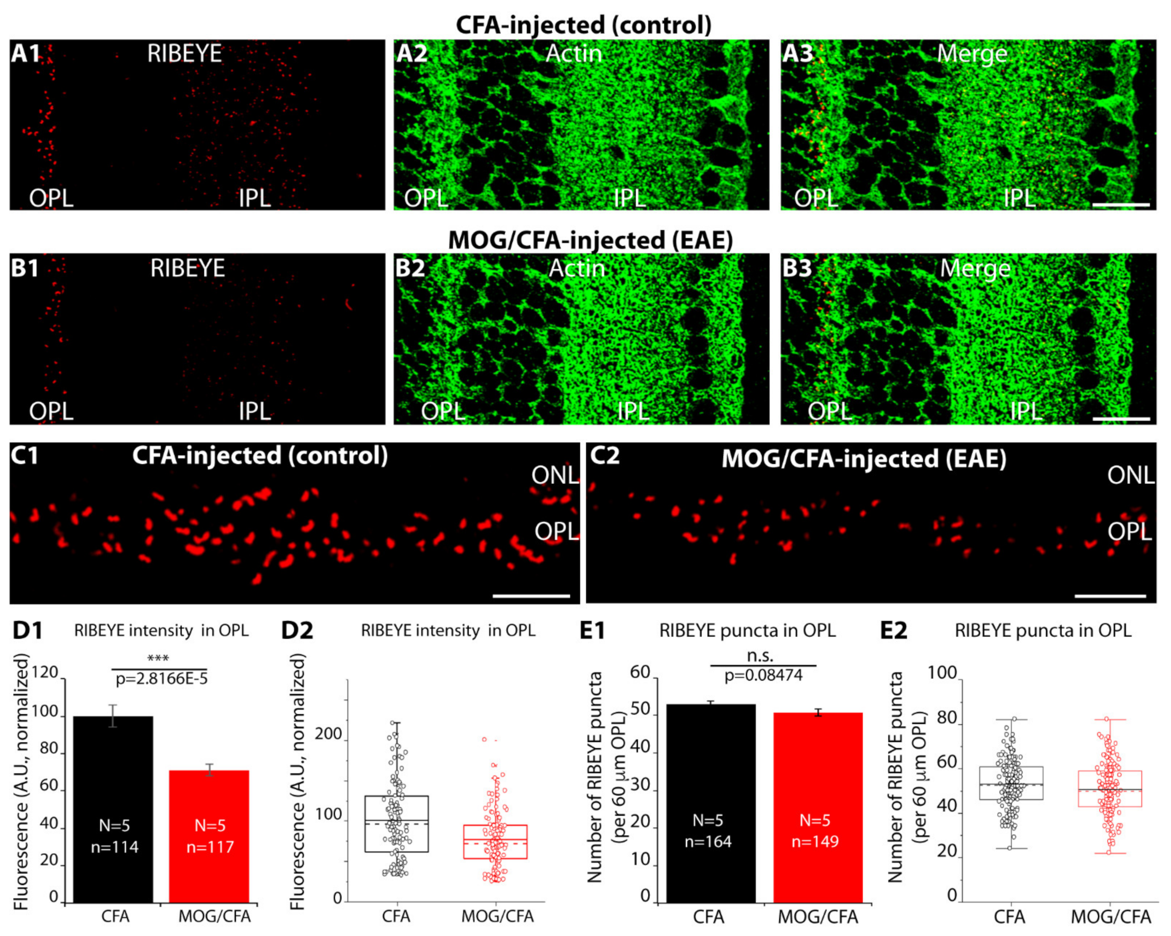 Ijms 22 10789 g002 Ijms 22 10789 g002