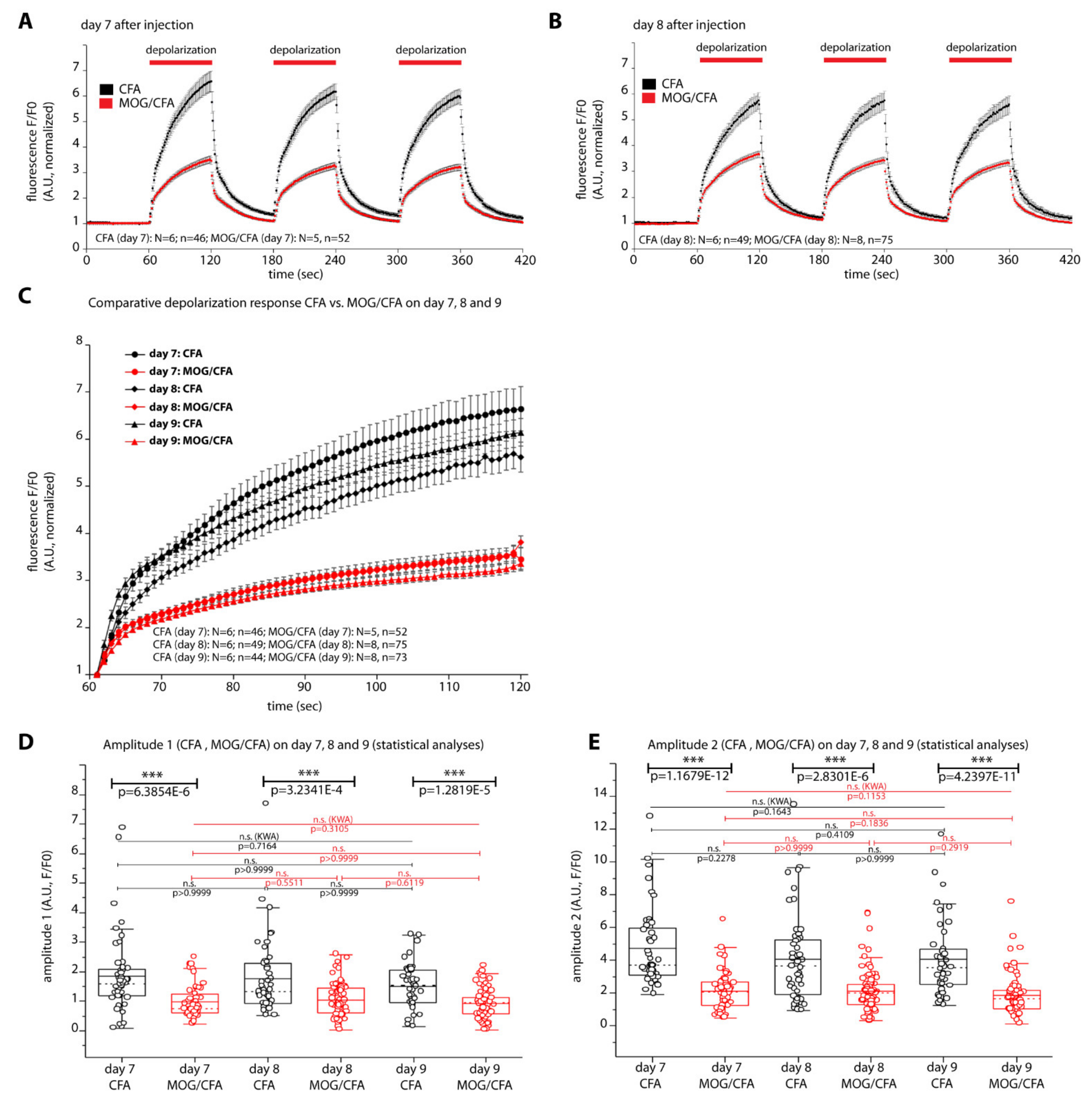 Ijms 22 10789 g007 Ijms 22 10789 g007