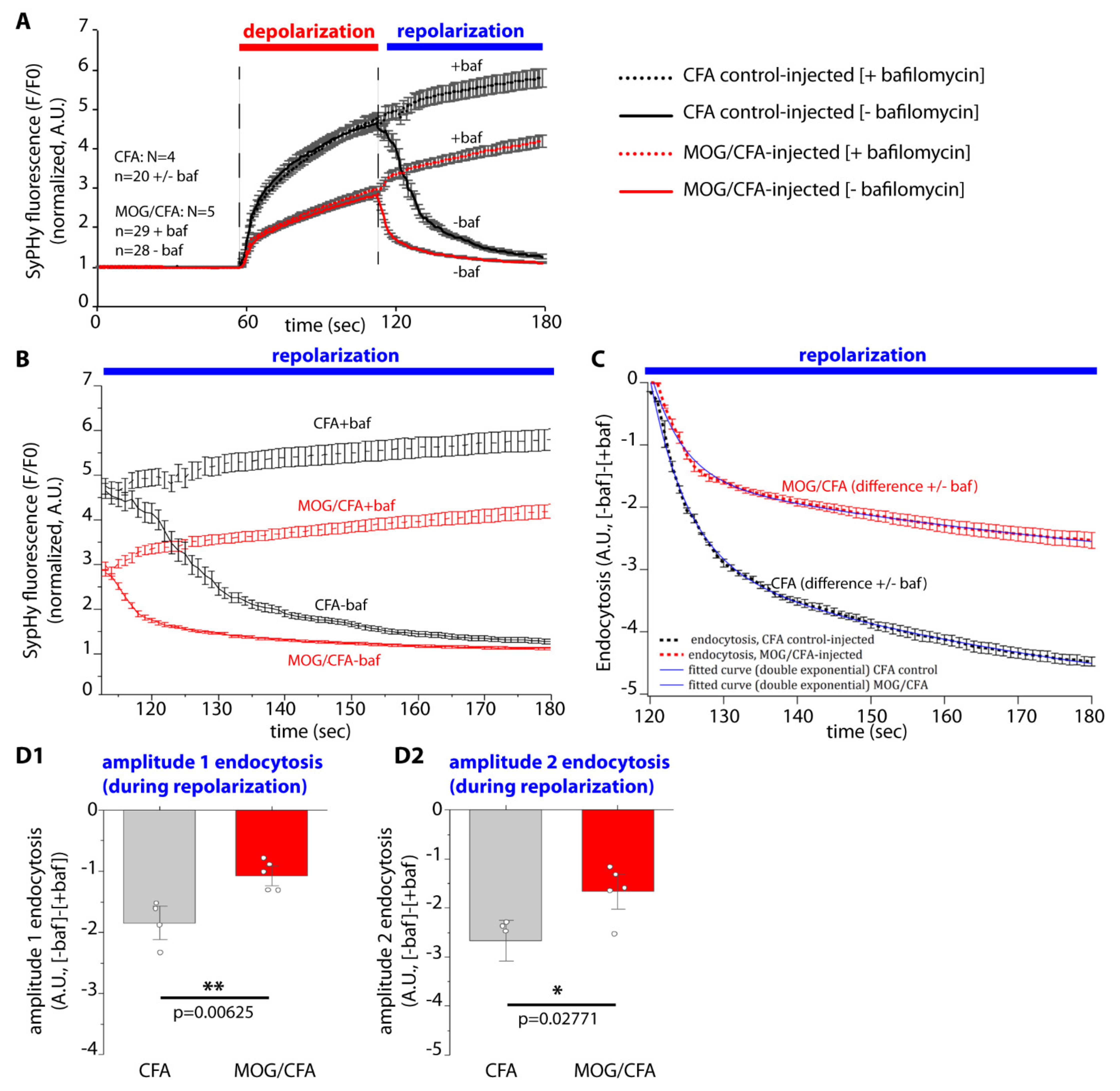 Ijms 22 10789 g008 Ijms 22 10789 g008