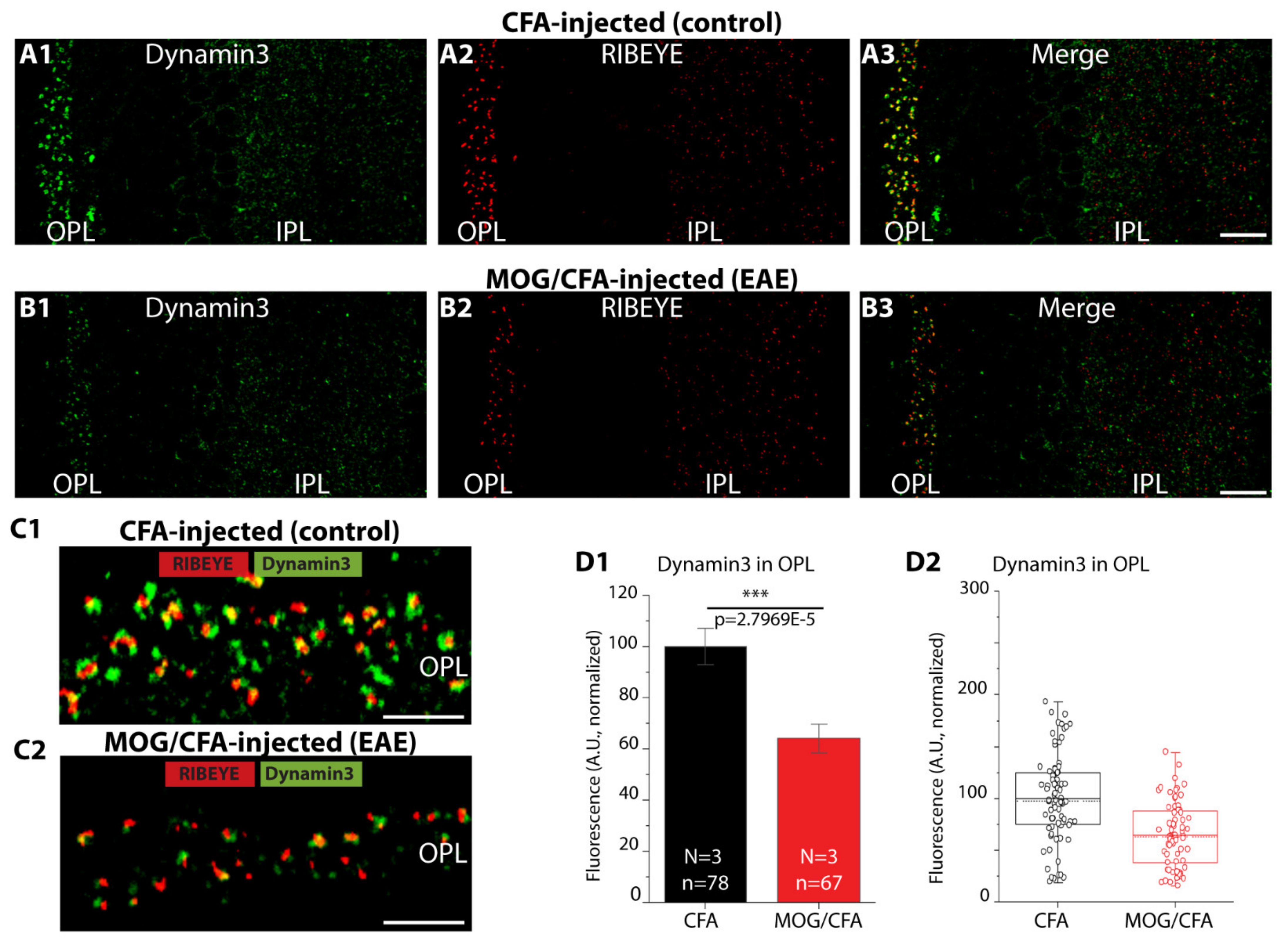 Ijms 22 10789 g009a Ijms 22 10789 g009a