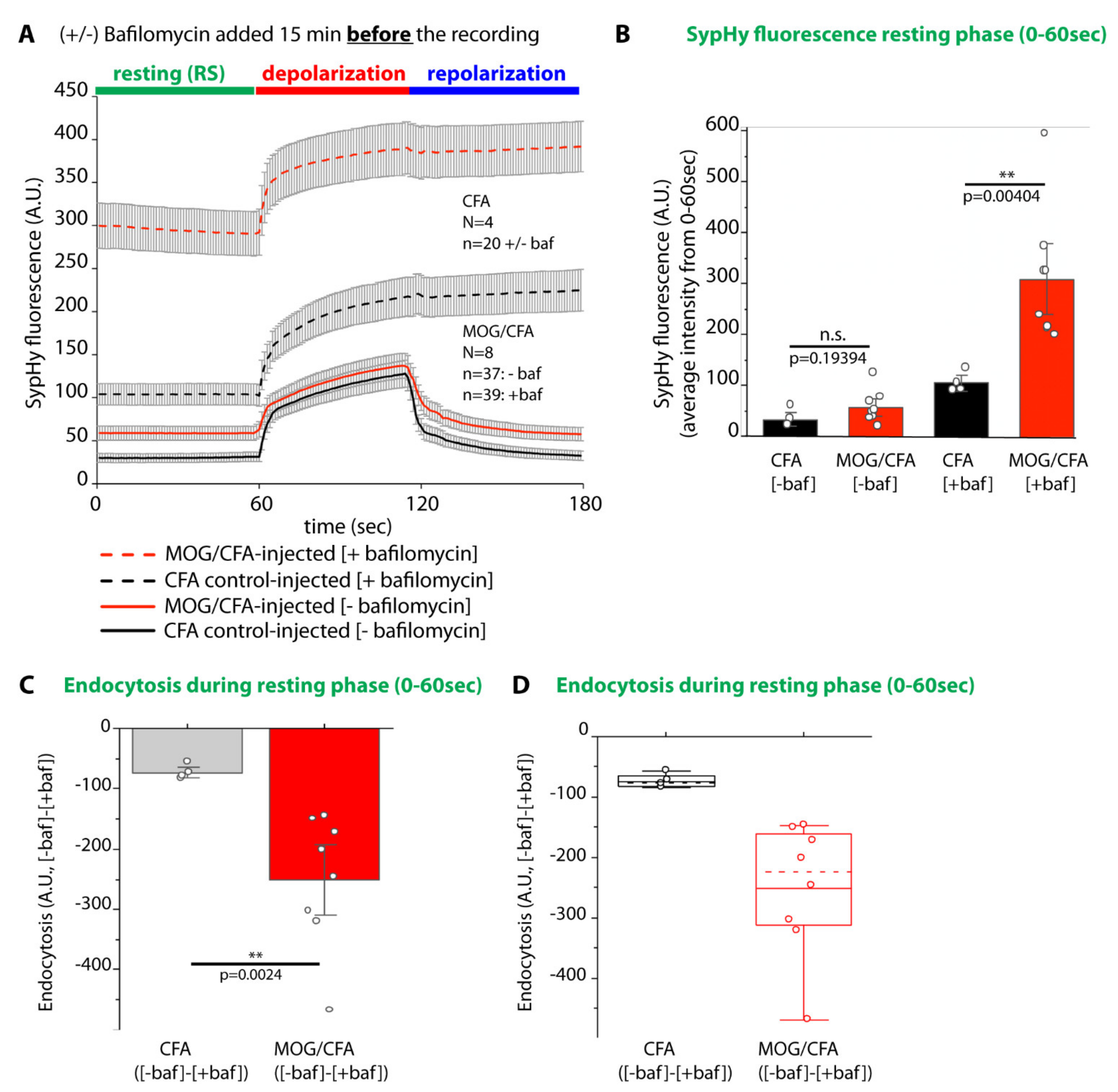 Ijms 22 10789 g010 Ijms 22 10789 g010