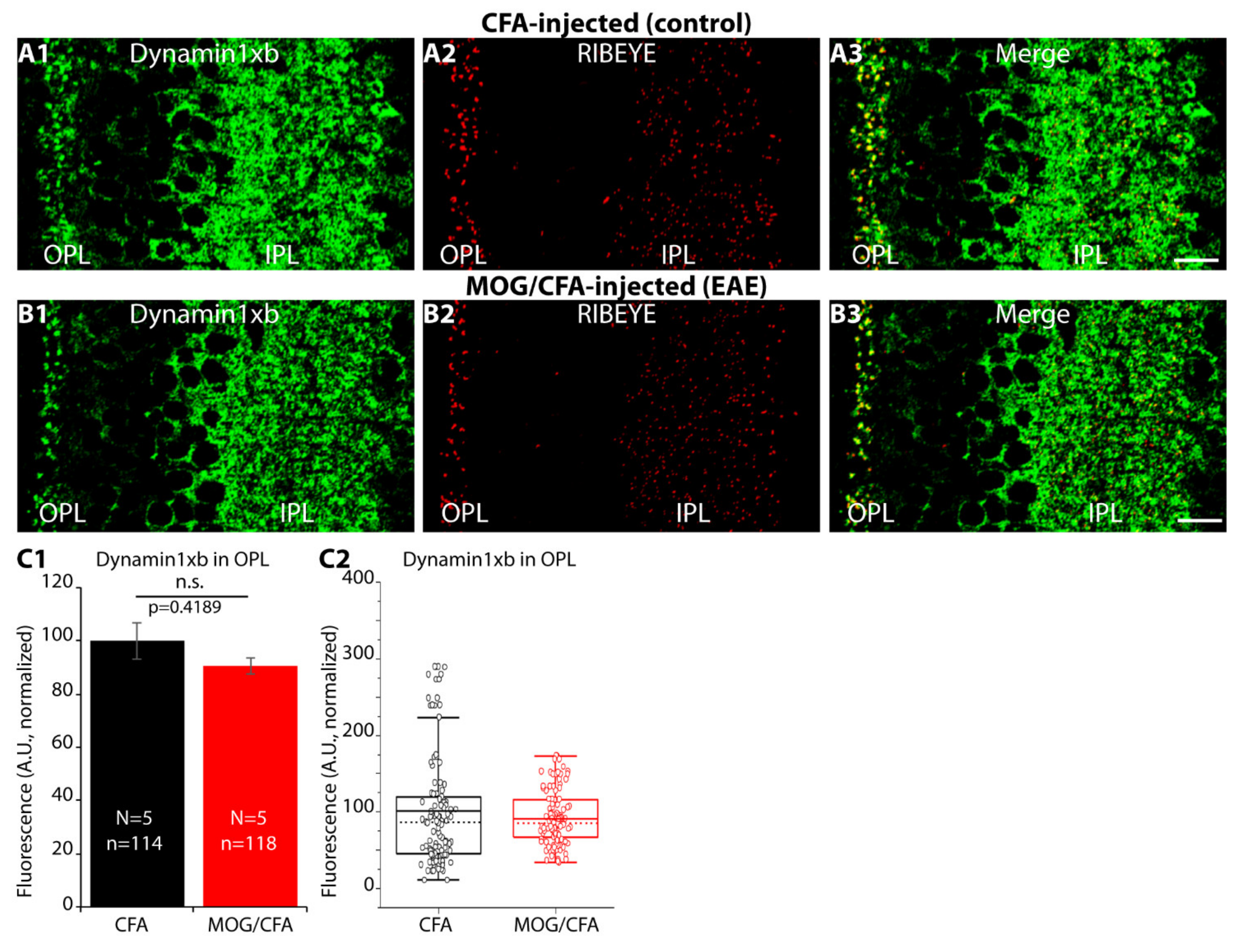 Ijms 22 10789 g011a Ijms 22 10789 g011a