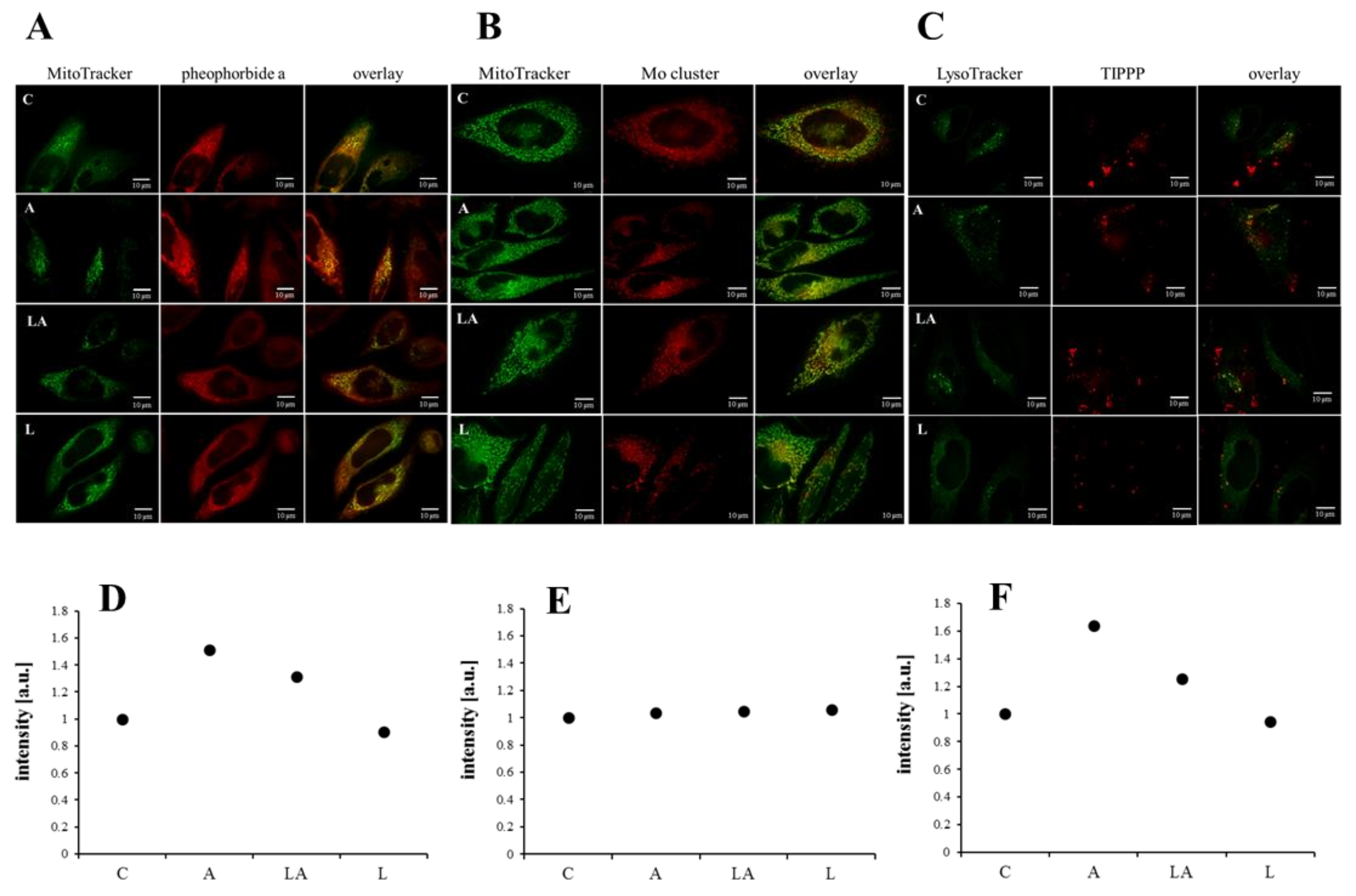 Ijms 22 10790 g004 550