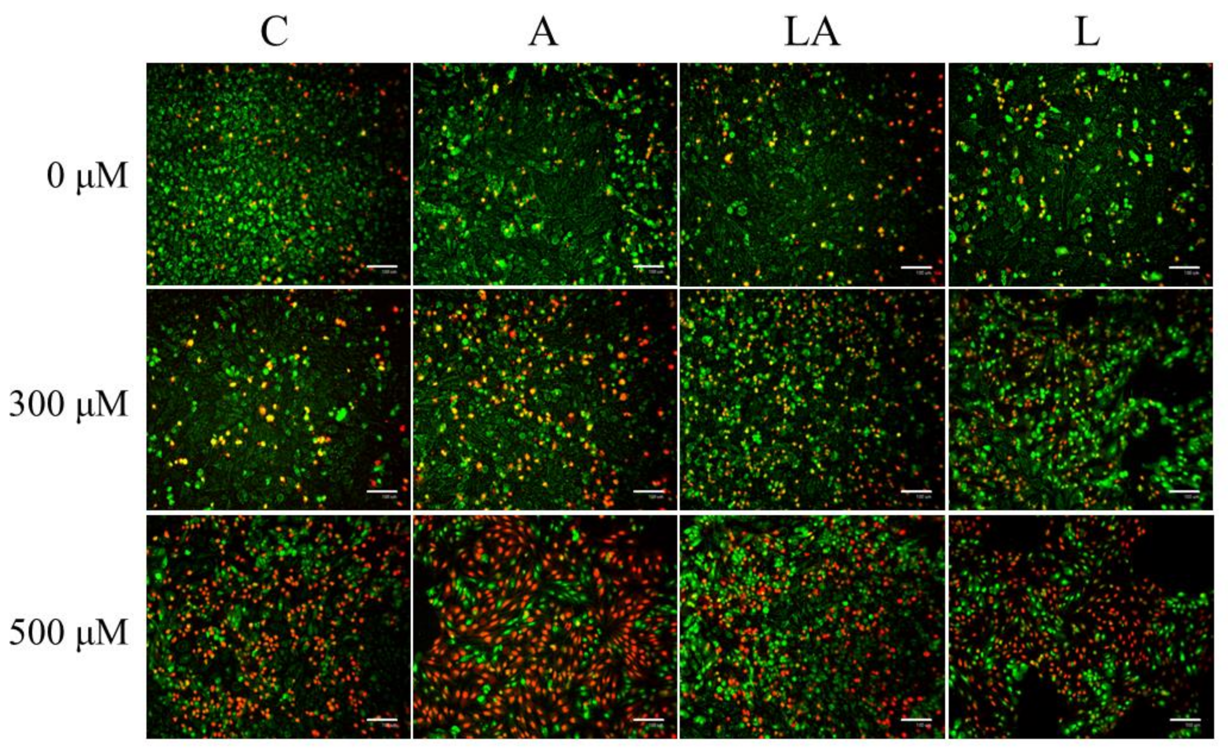 Ijms 22 10790 g0a3 550