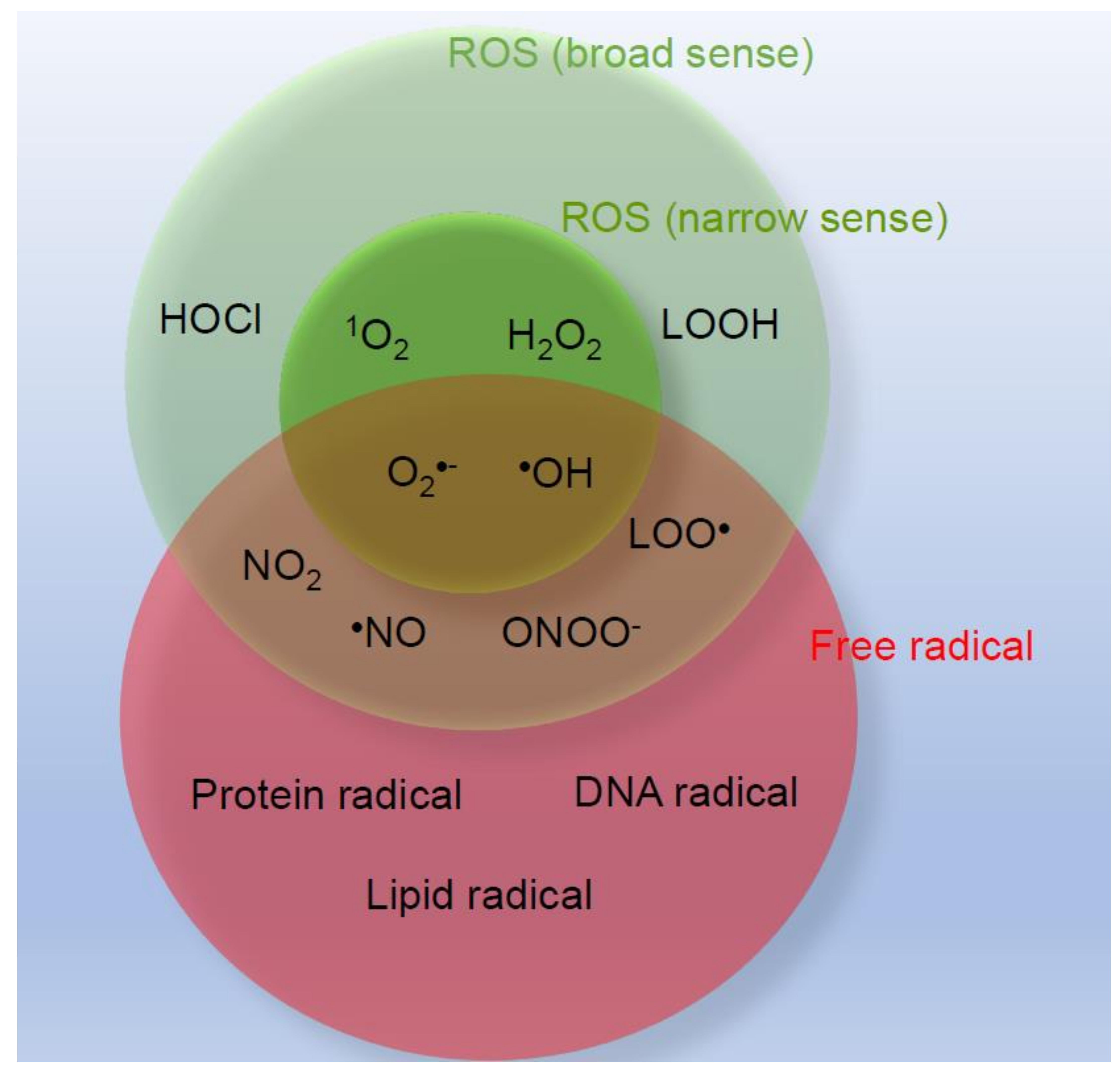 IJMS | Free Full-Text | What Are Reactive Oxygen Species, Free IJMS | Free Full-Text | What Are Reactive Oxygen Species, Free
