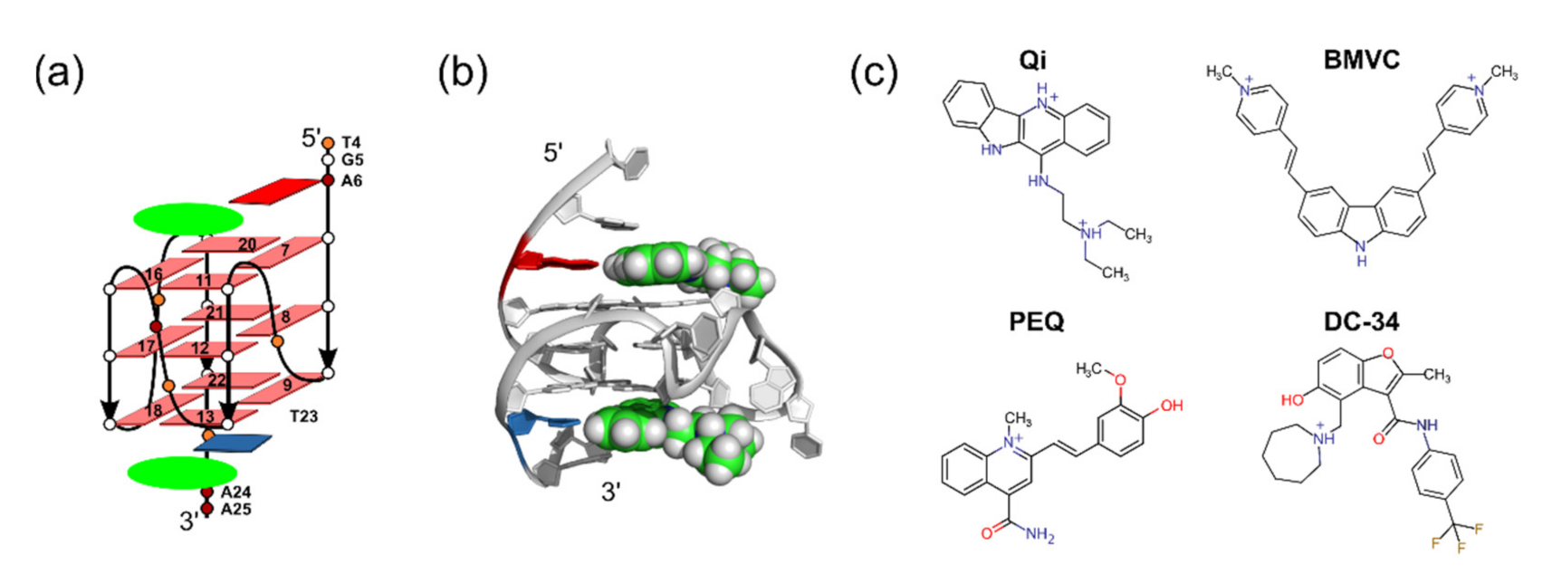 Ijms 22 10801 g001 550