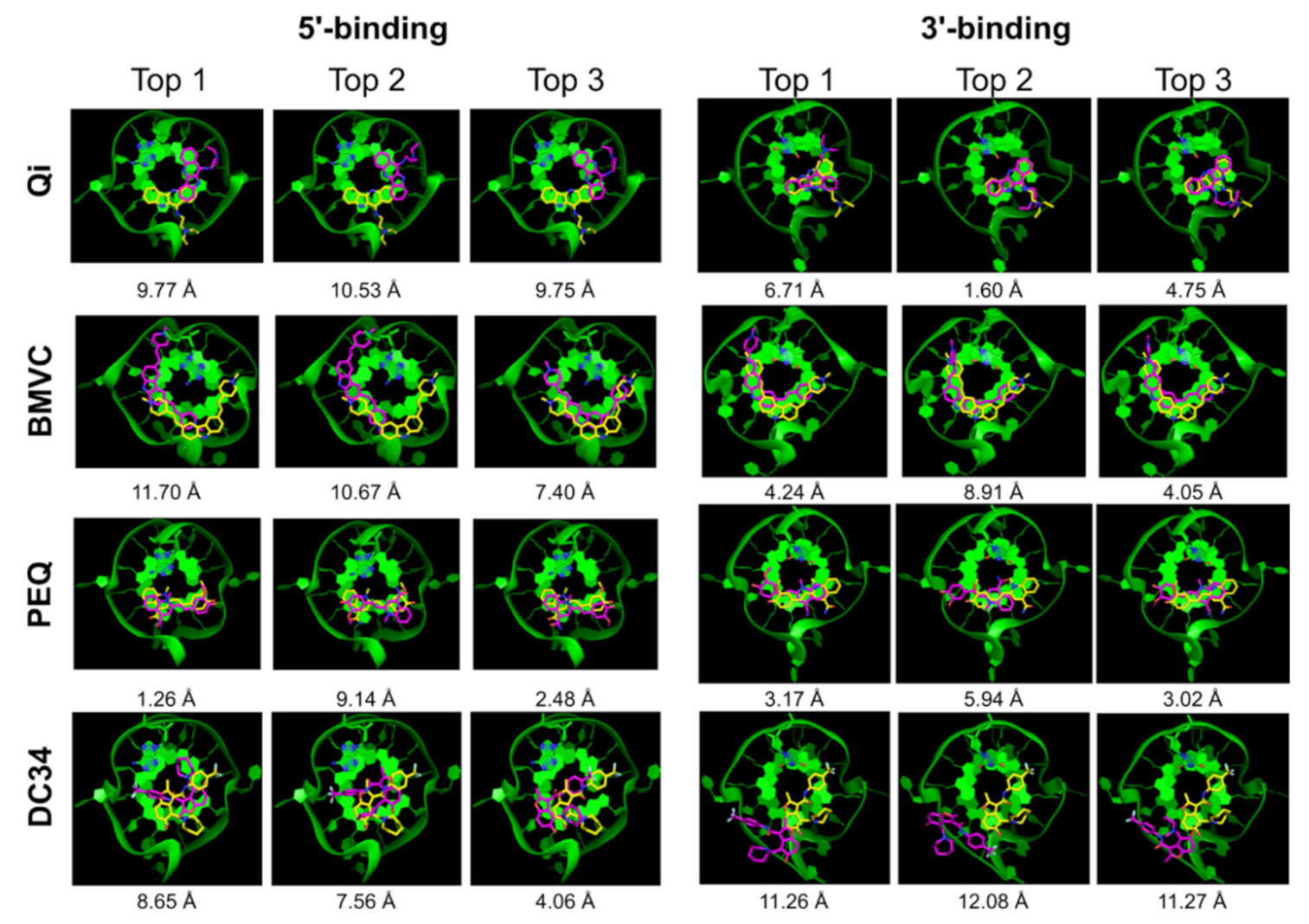 Ijms 22 10801 g002 550