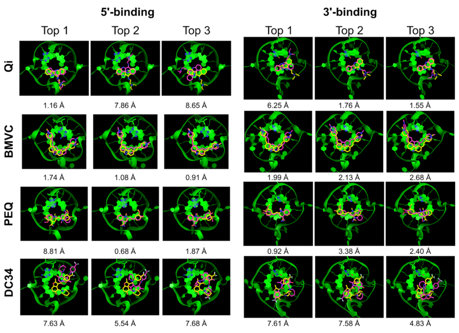 Ijms 22 10801 g004 550