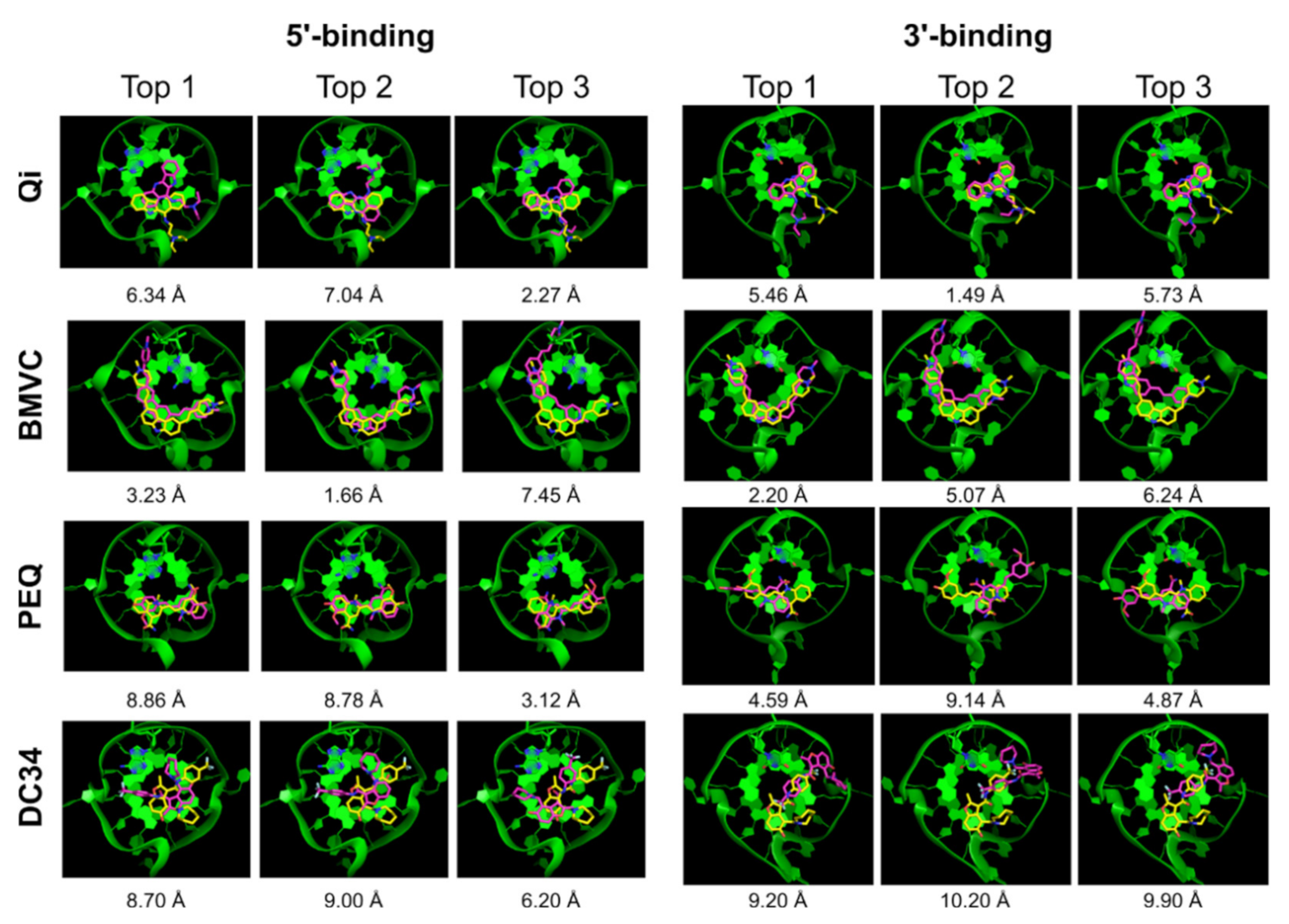Ijms 22 10801 g005 550