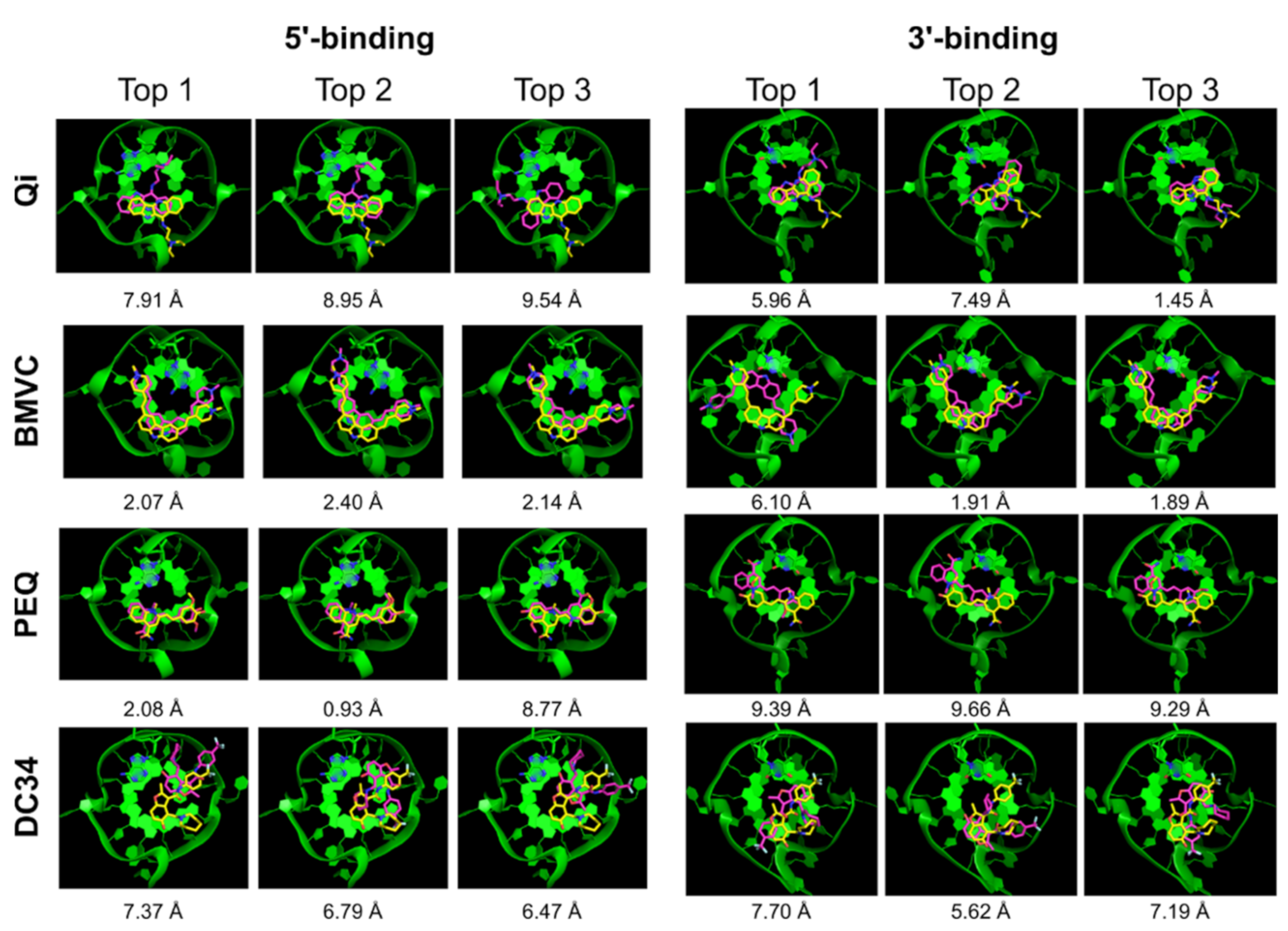 Ijms 22 10801 g006 550