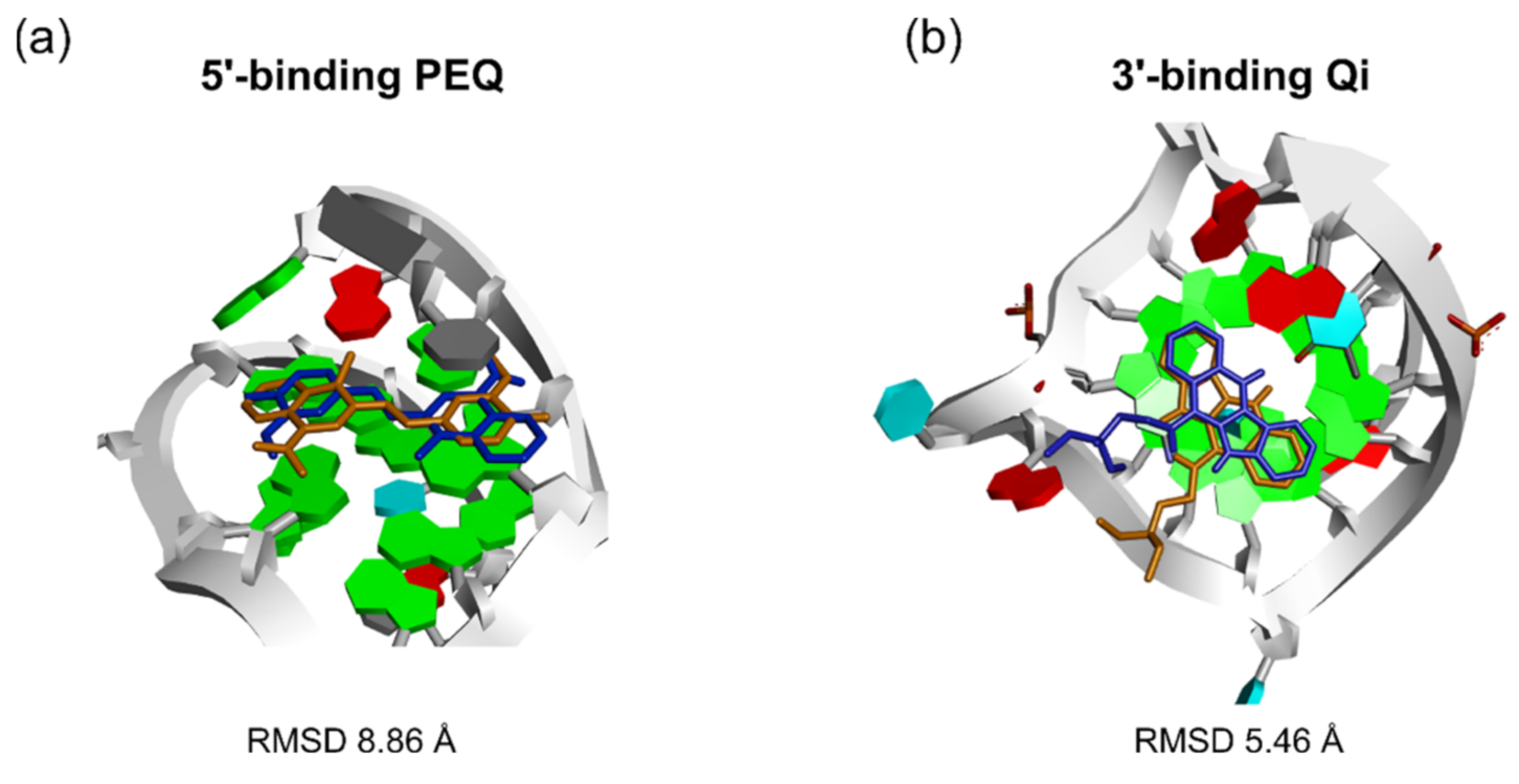 Ijms 22 10801 g007 550