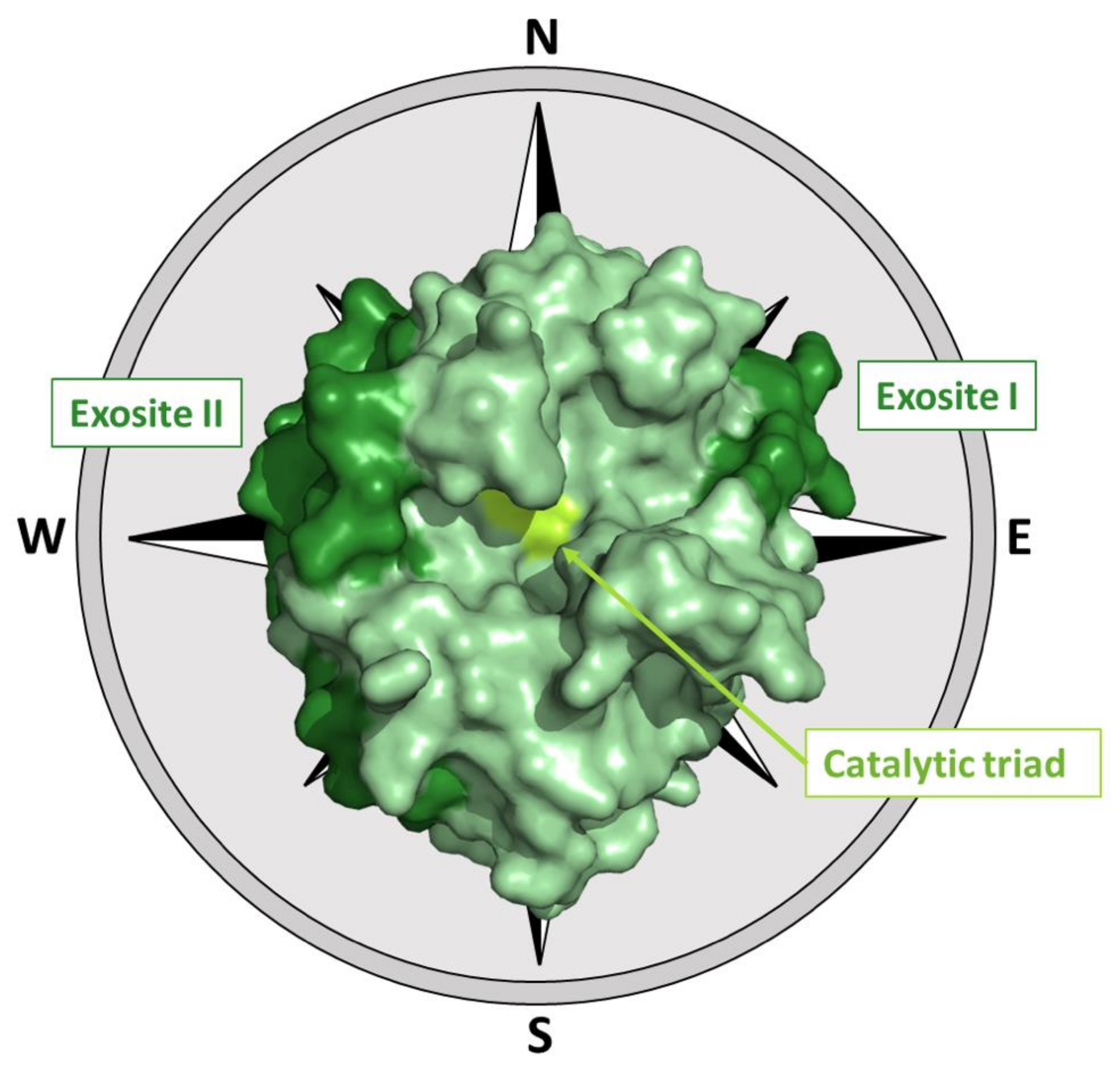 Ijms 22 10803 g003 Ijms 22 10803 g003