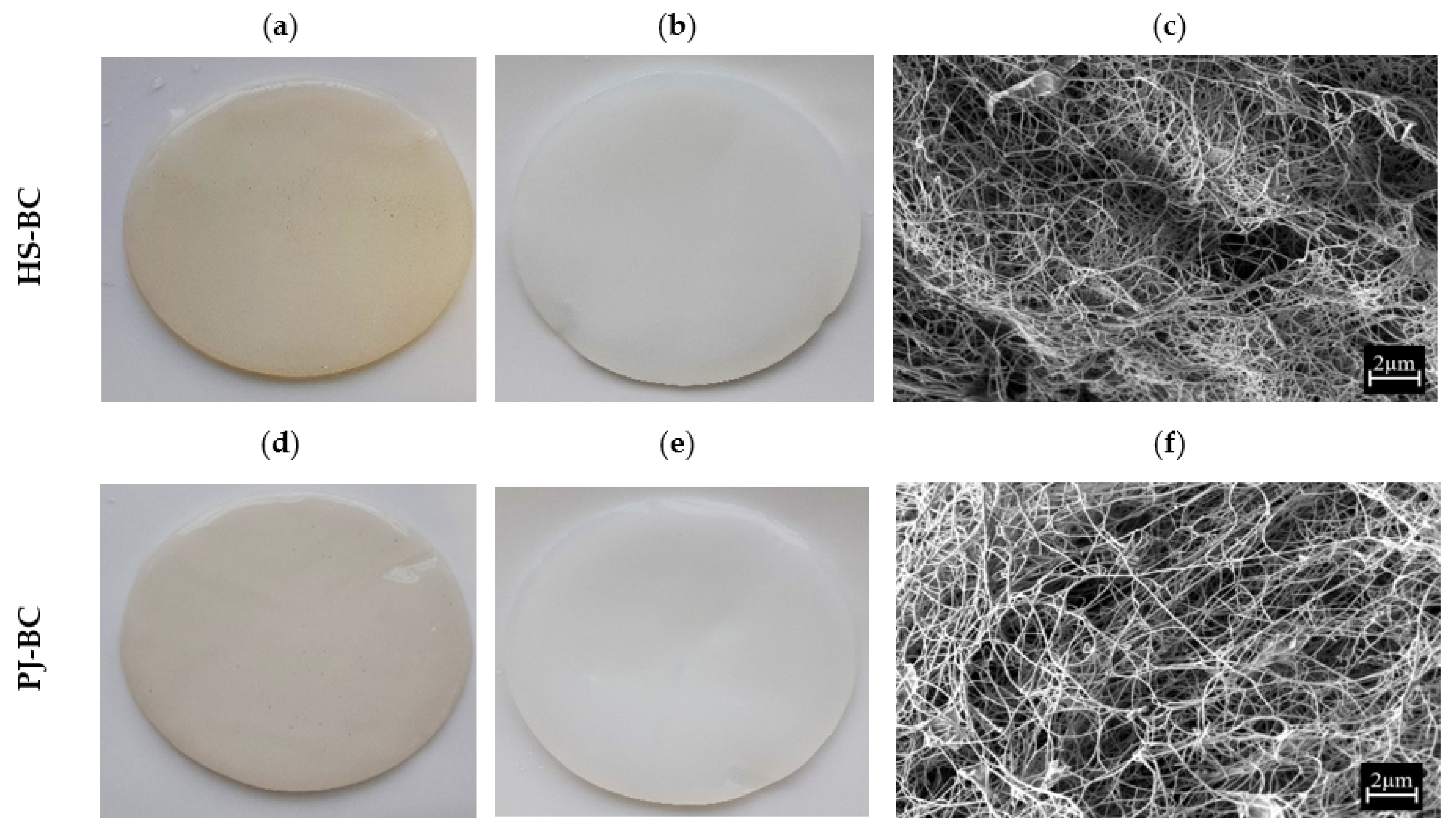 Ijms 22 10807 g004 550