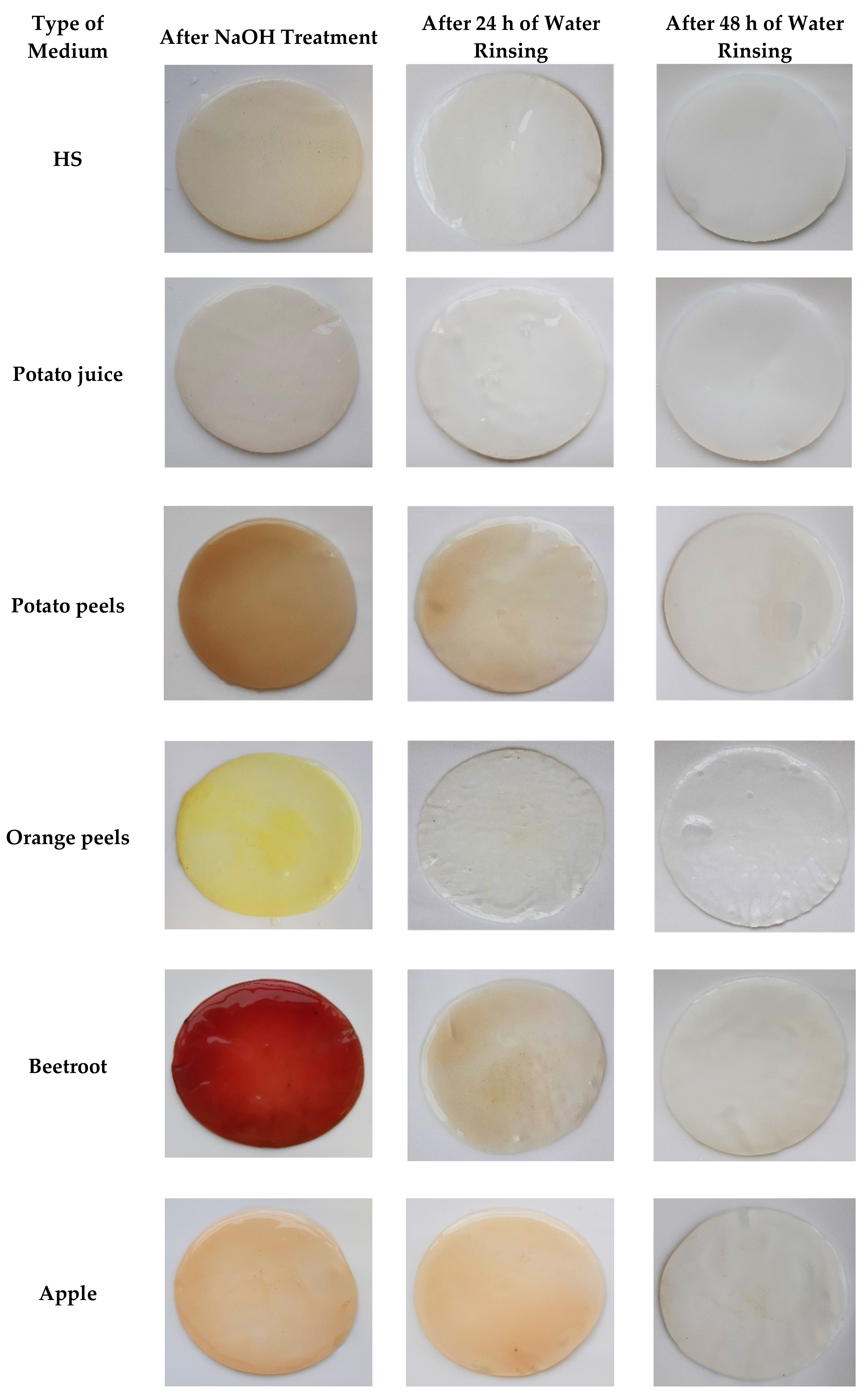 Ijms 22 10807 g006 550